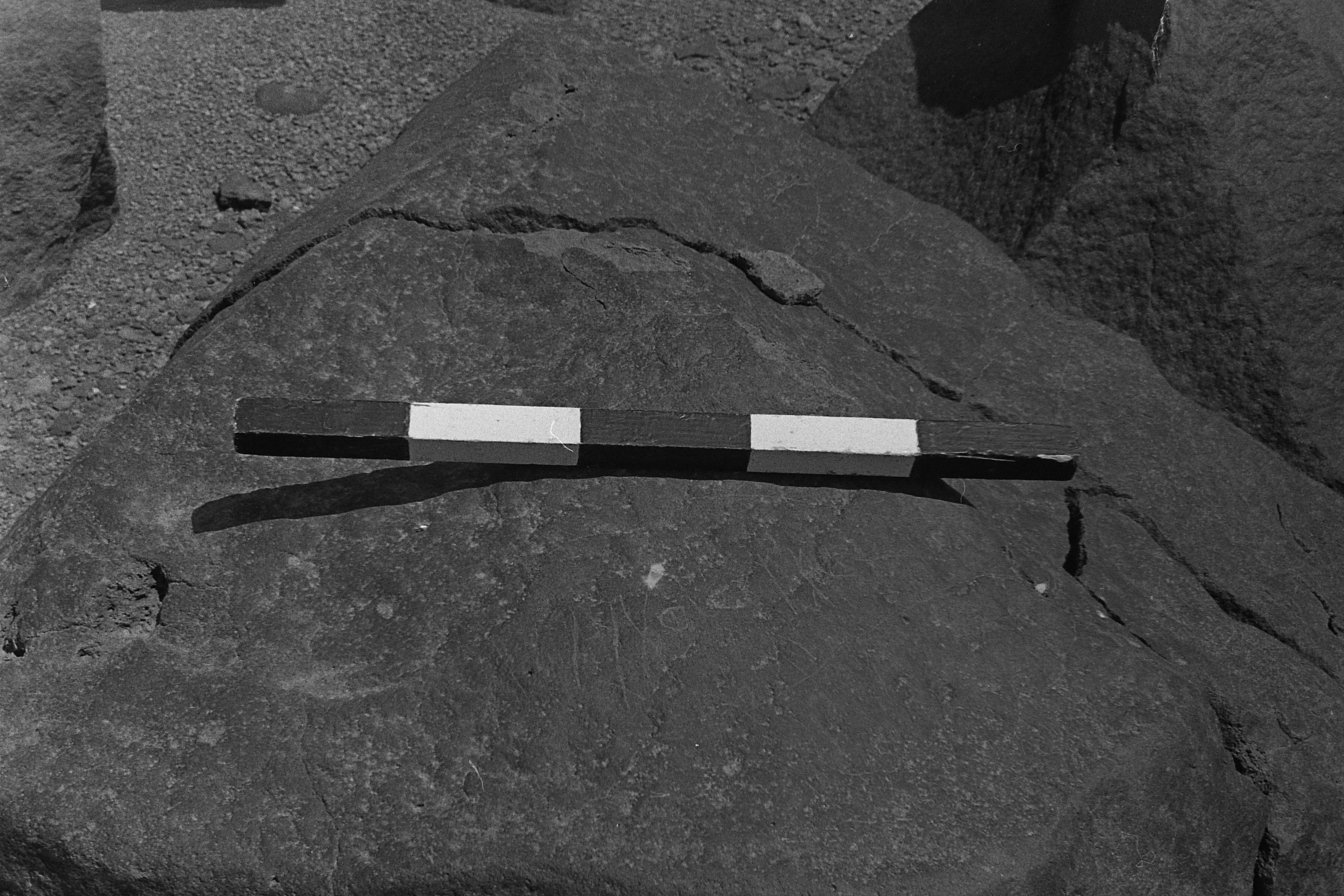 inscription of siglum CSNS 1002