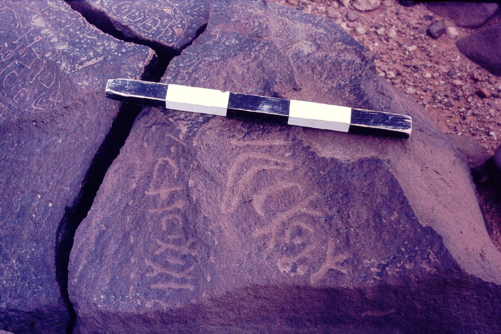 inscription of siglum CSNS 1019