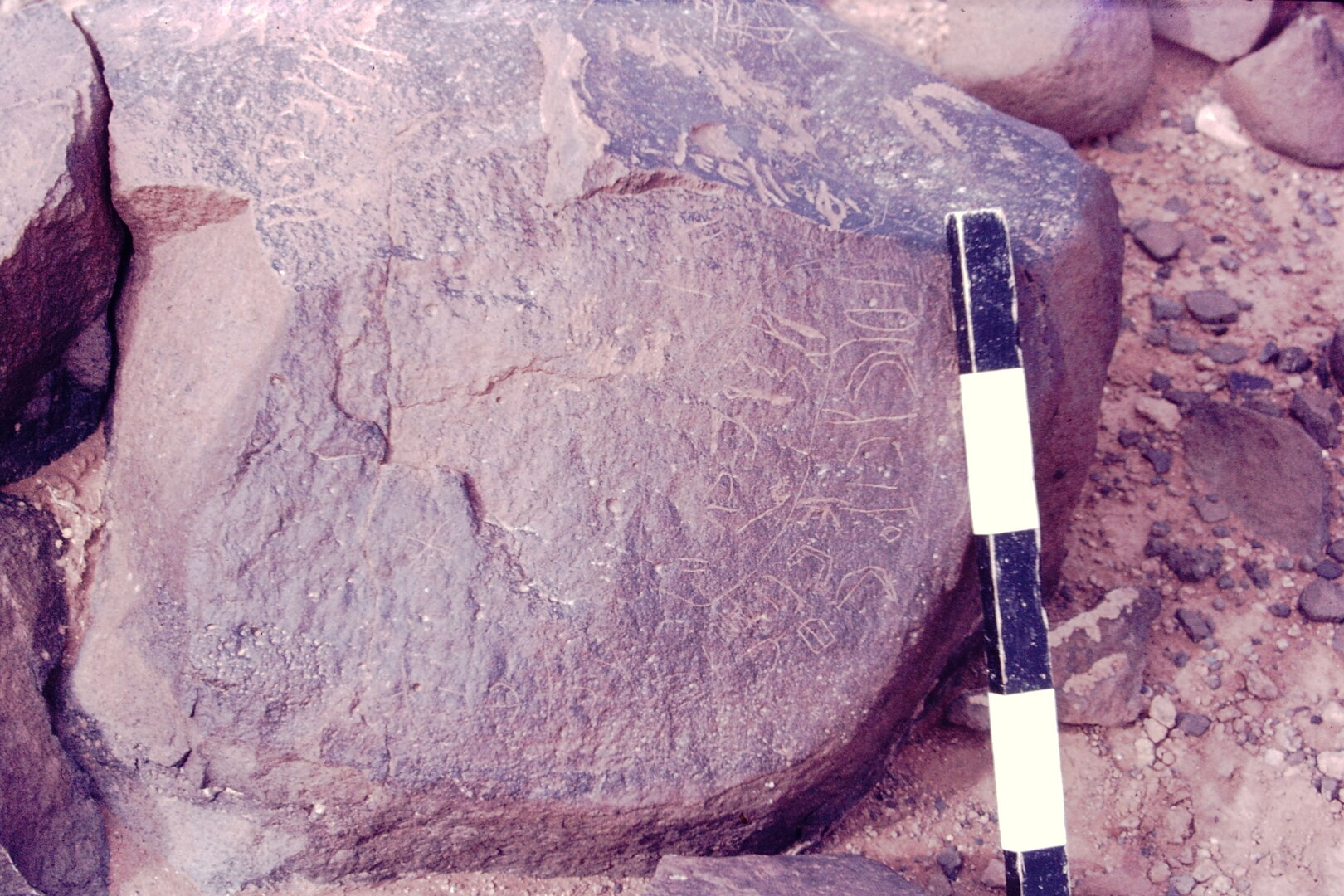 inscription of siglum CSNS 1031