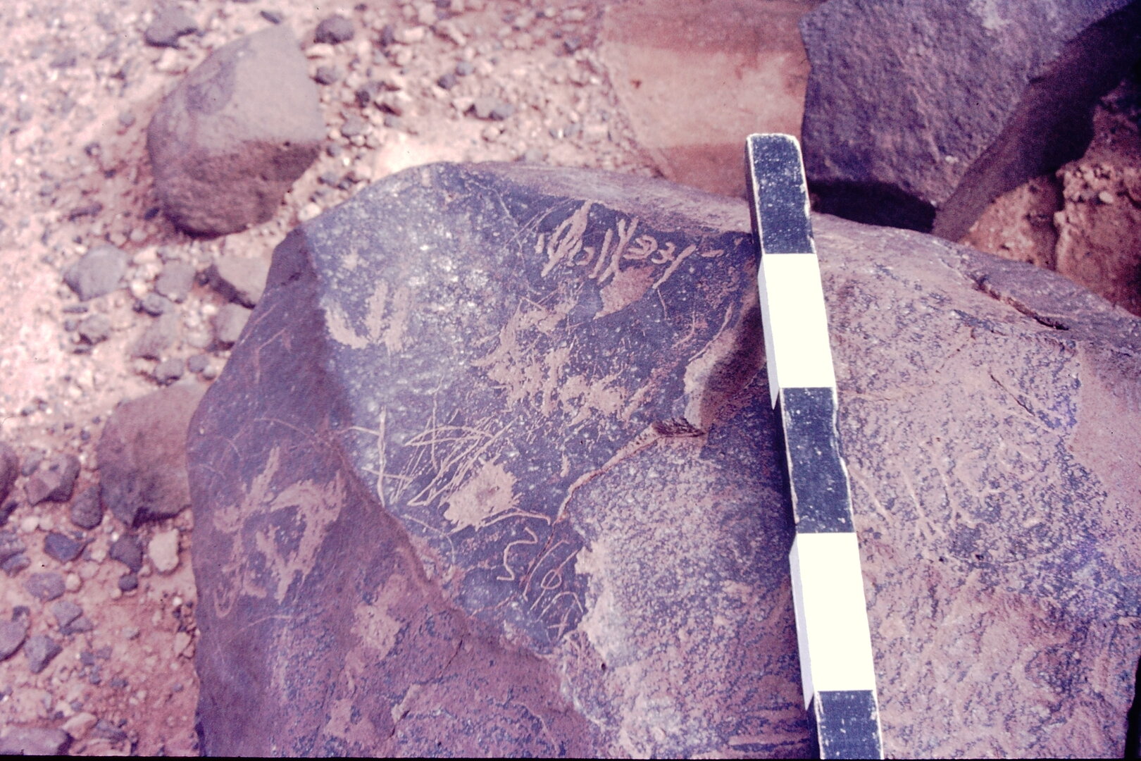 inscription of siglum CSNS 1033.1