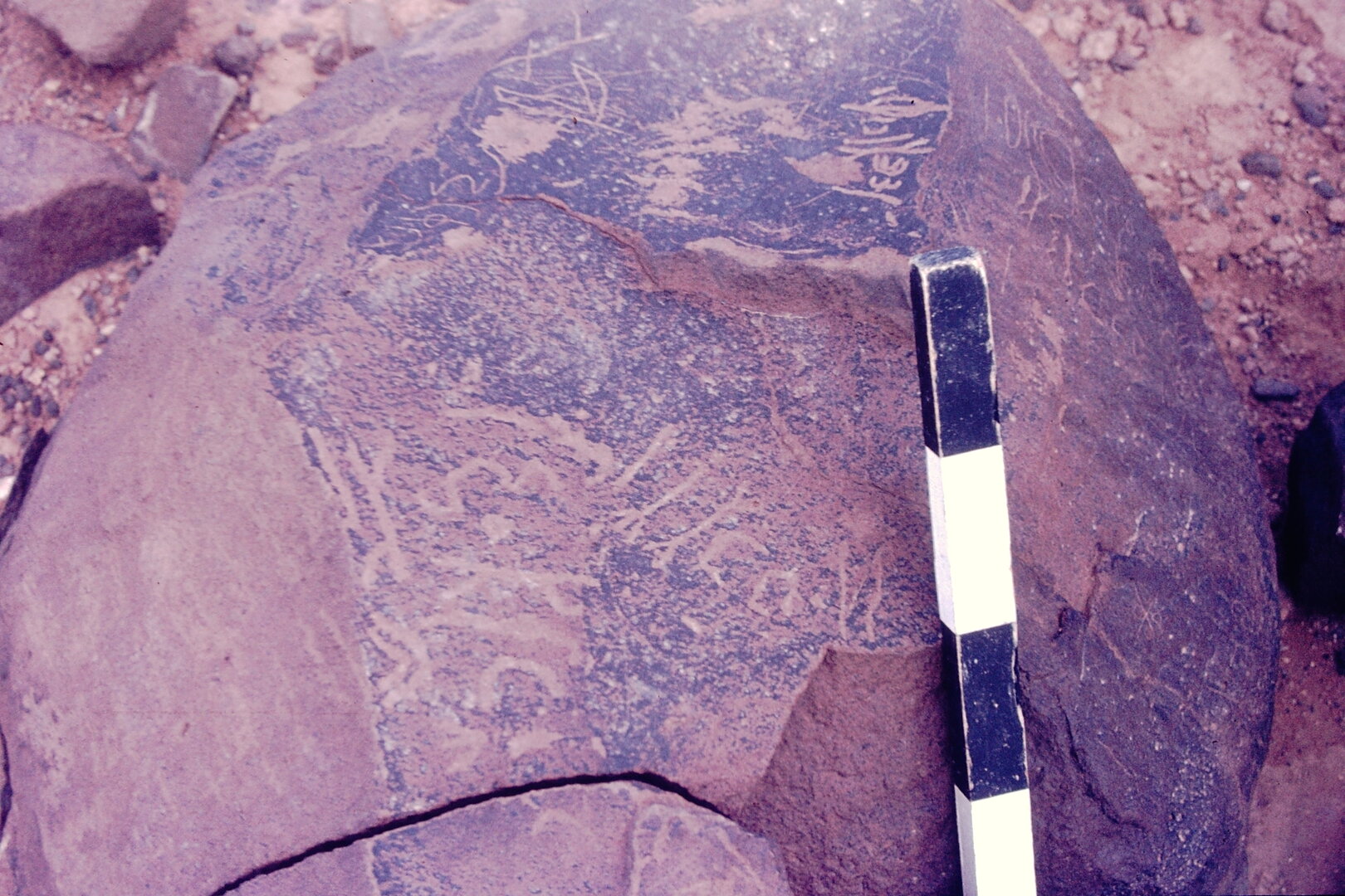 inscription of siglum CSNS 1036