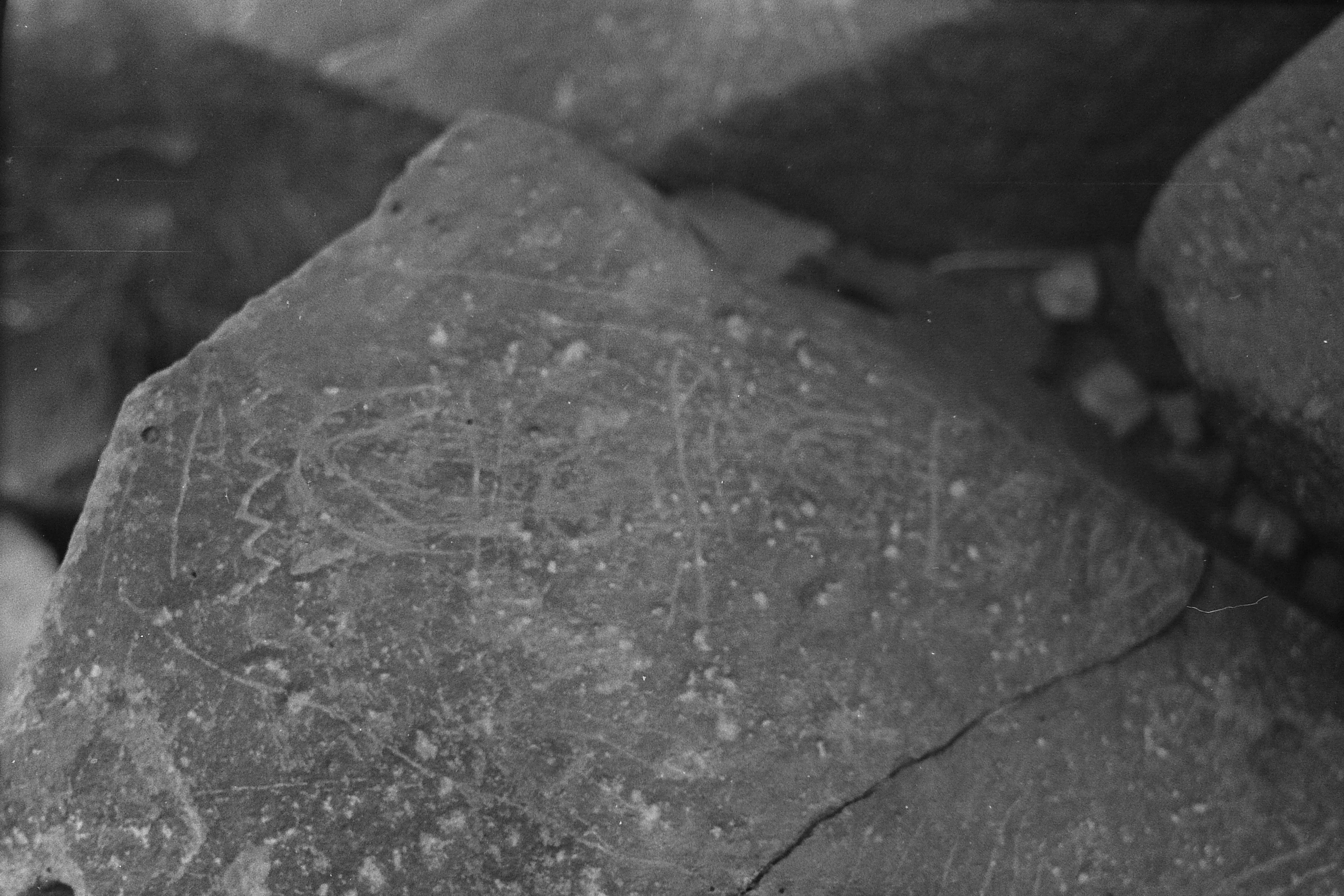 inscription of siglum CSNS 104