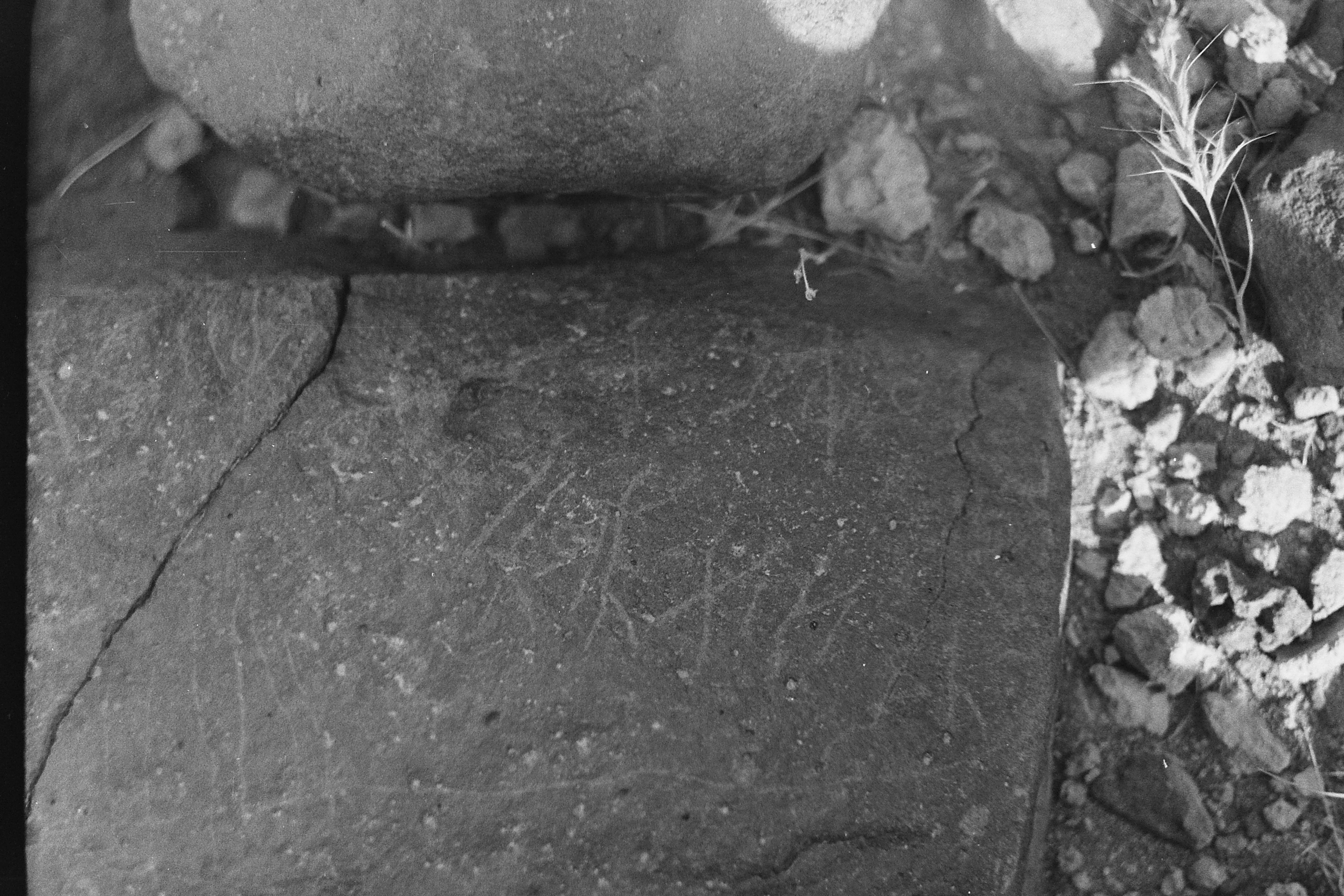 inscription of siglum CSNS 104