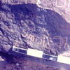 inscription of siglum CSNS 1070