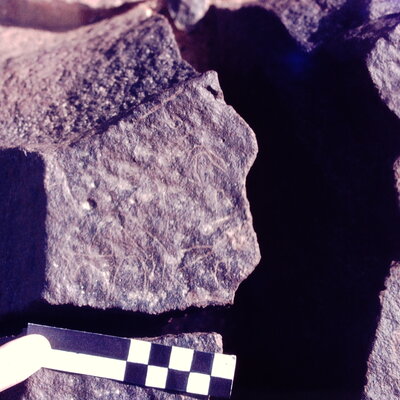 inscription of siglum CSNS 1085