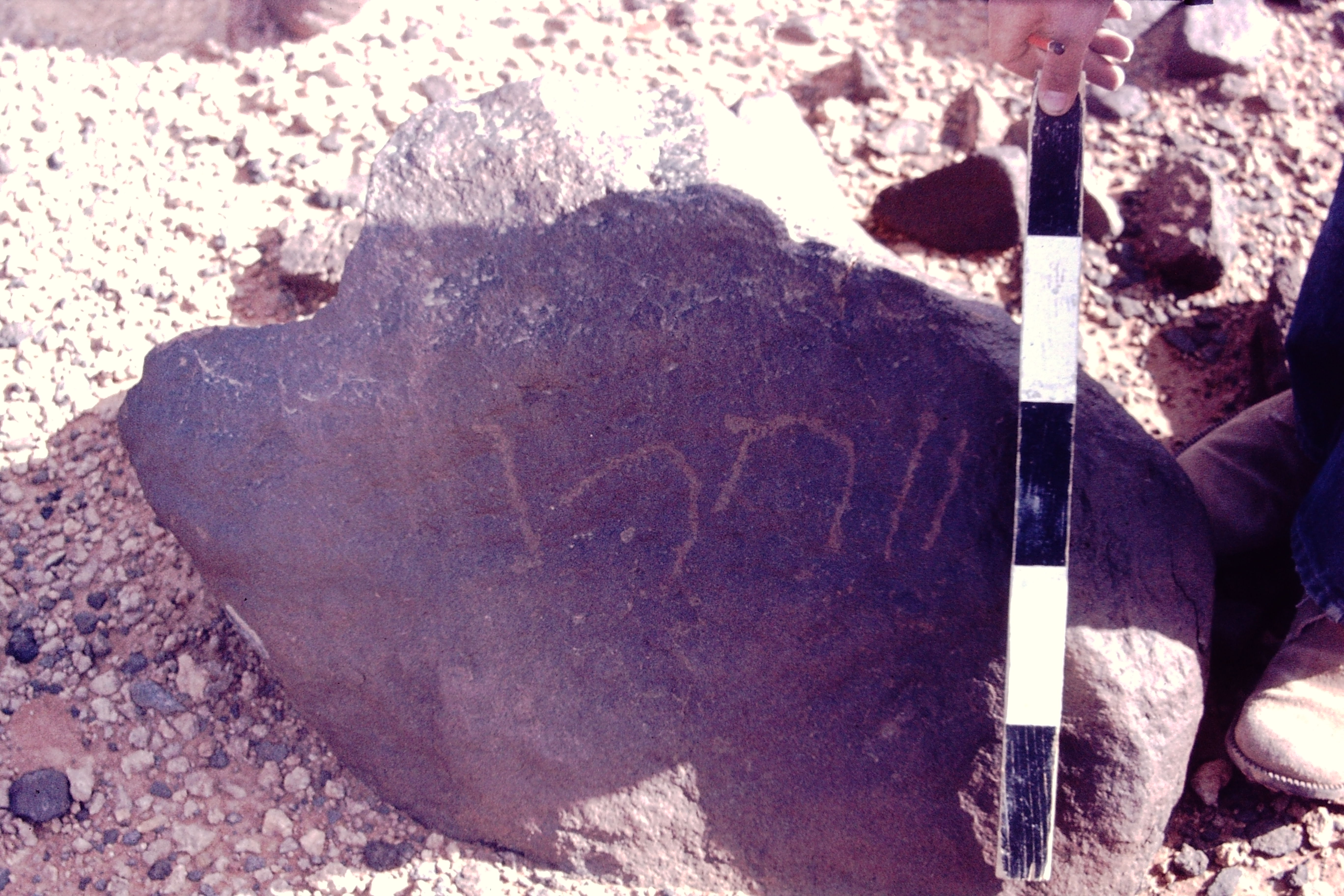 inscription of siglum CSNS 1088