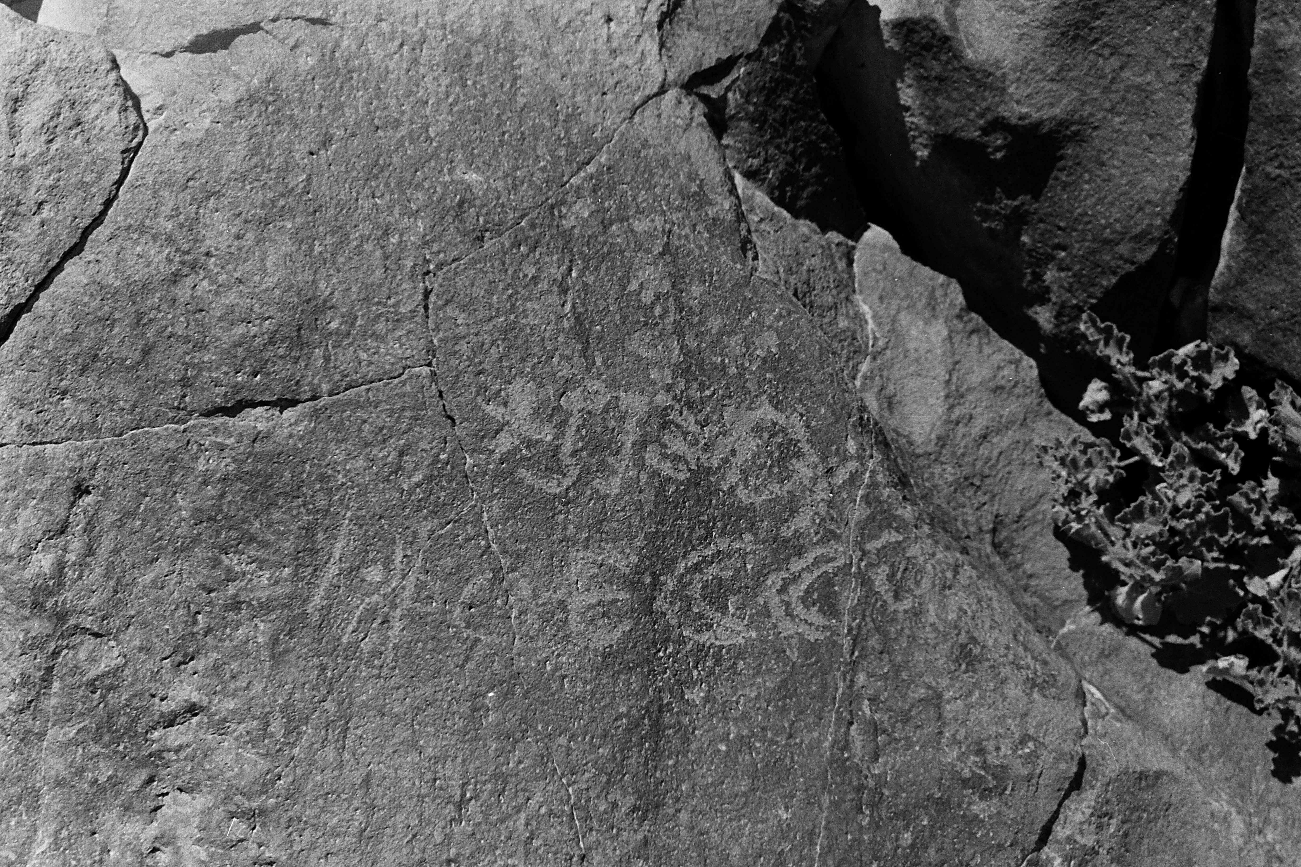 inscription of siglum CSNS 11