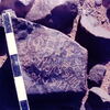 inscription of siglum CSNS 1120.1