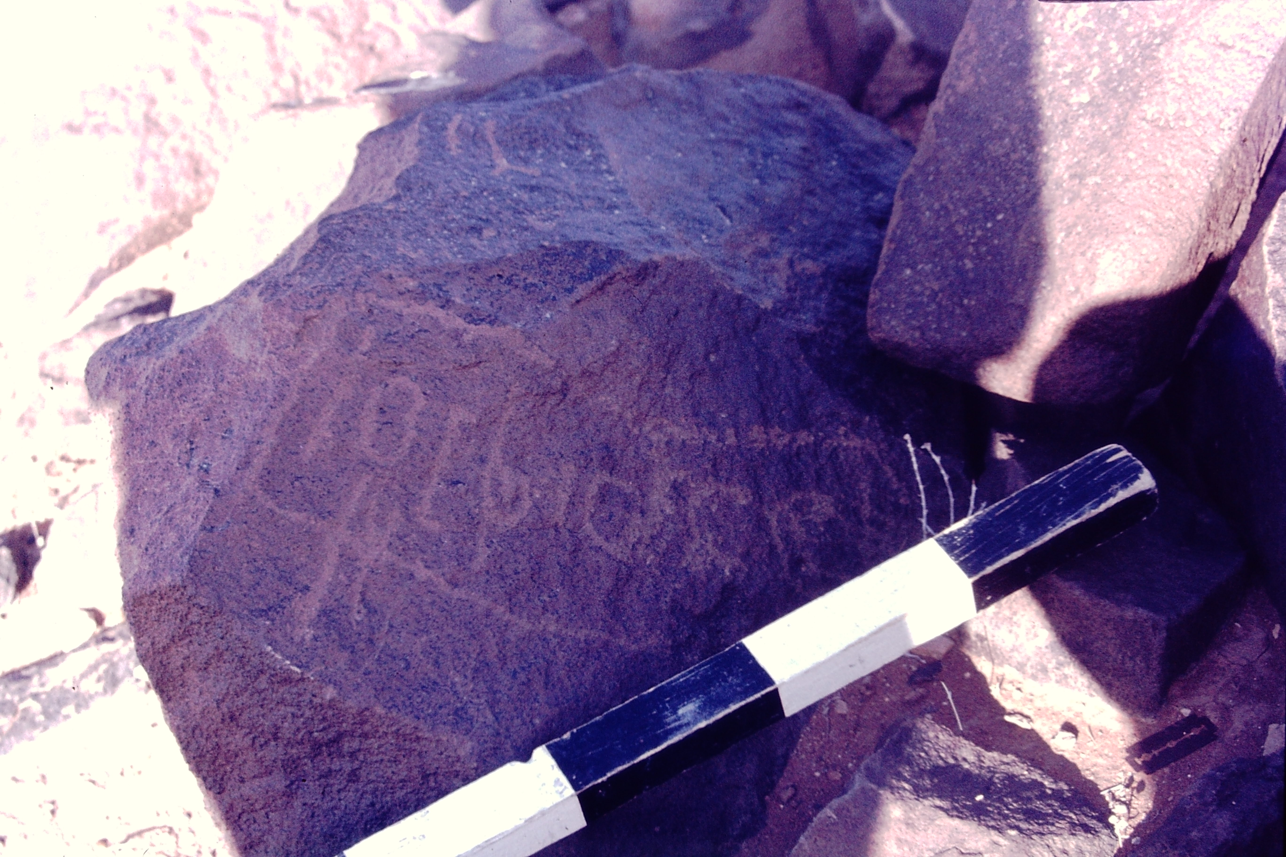 inscription of siglum CSNS 1137