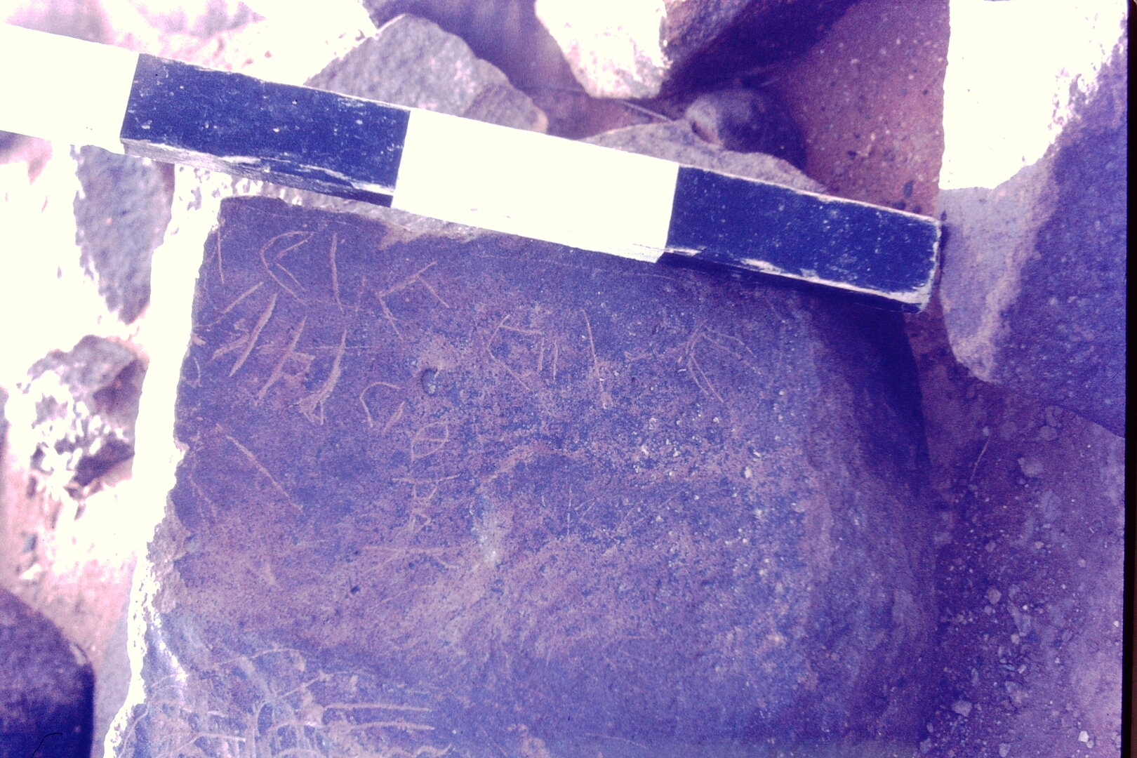 inscription of siglum CSNS 1142