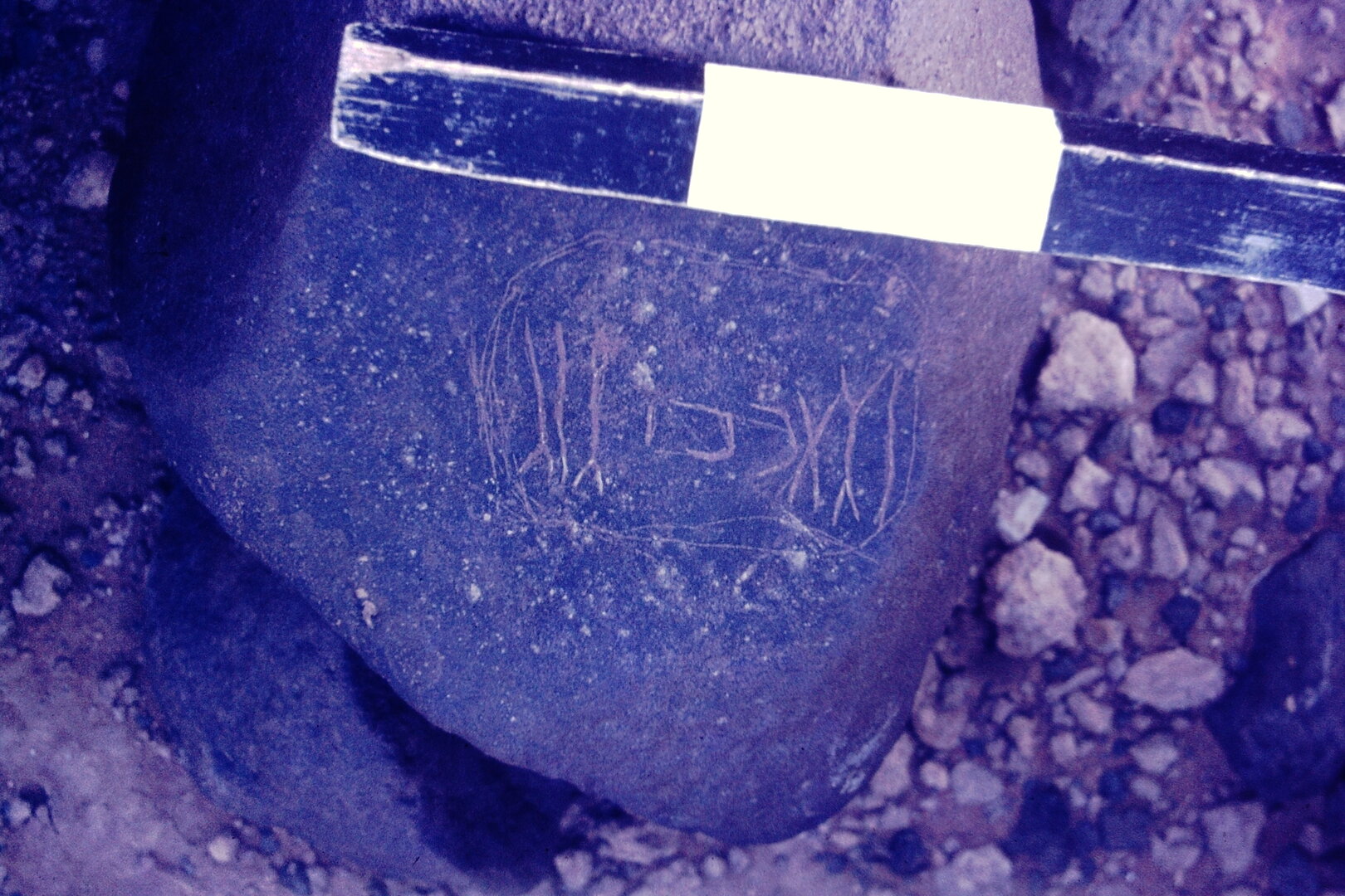 inscription of siglum CSNS 1146