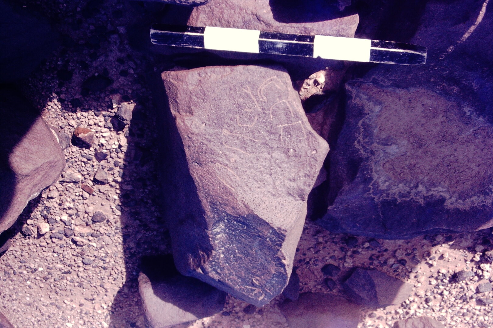 inscription of siglum CSNS 1172