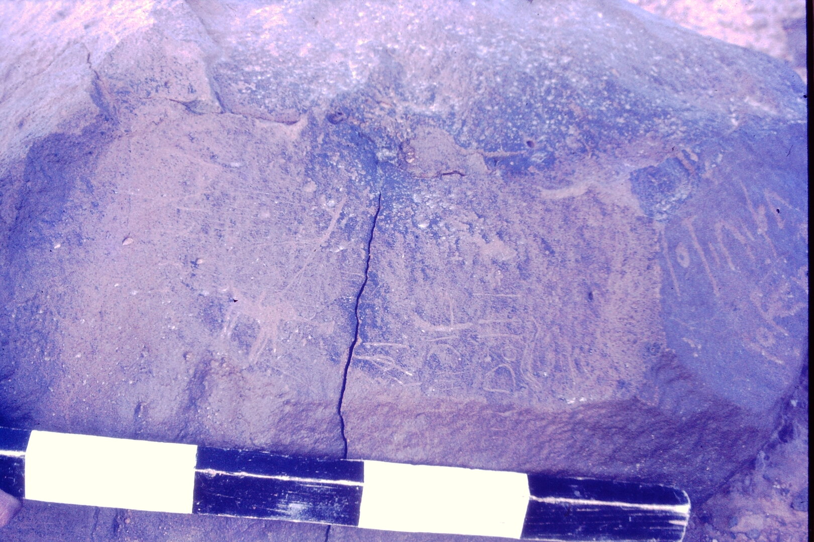 inscription of siglum CSNS 1180