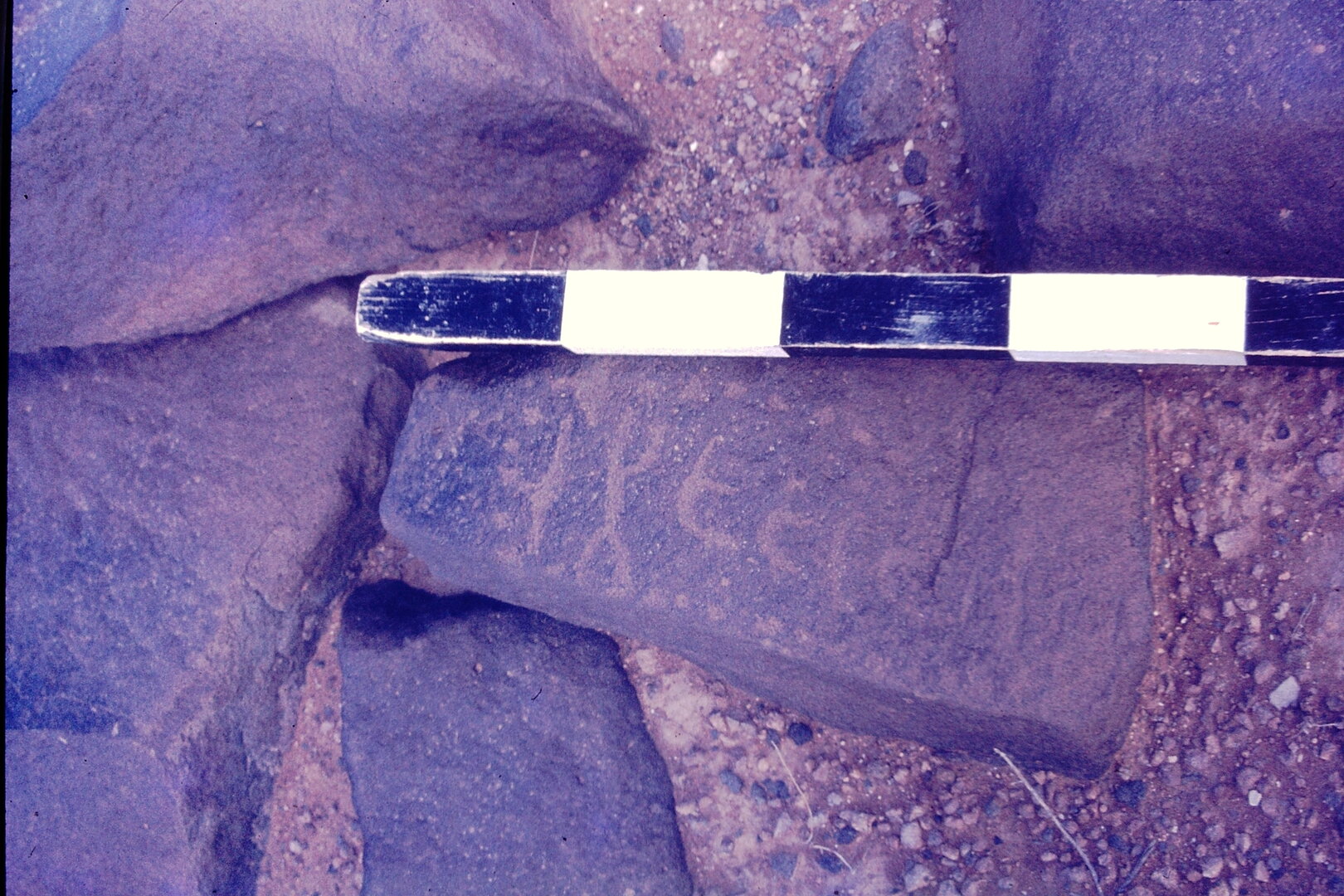 inscription of siglum CSNS 1181
