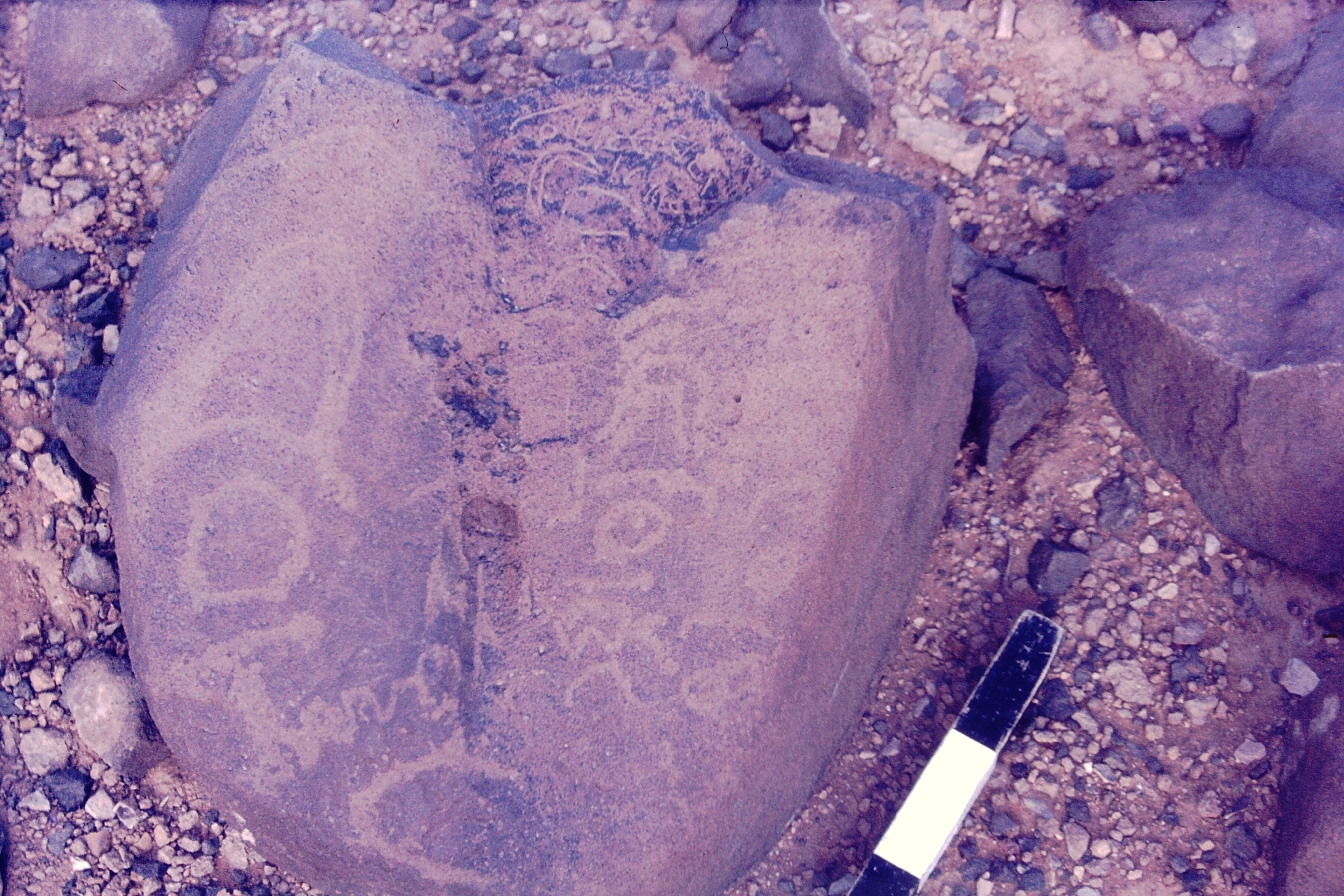 inscription of siglum CSNS 1184