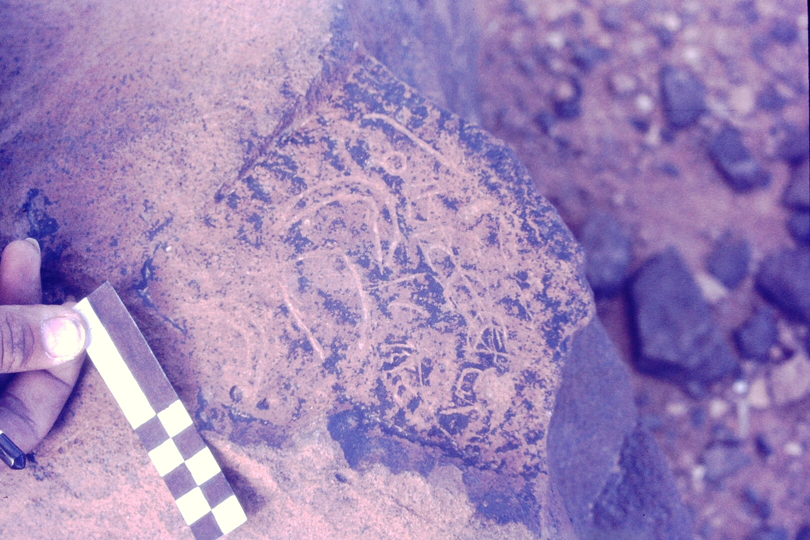 inscription of siglum CSNS 1185