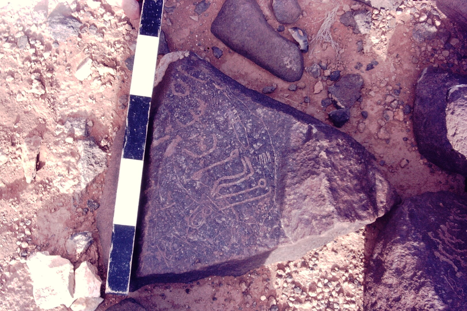 inscription of siglum CSNS 1186