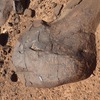 inscription of siglum CSNS 1193