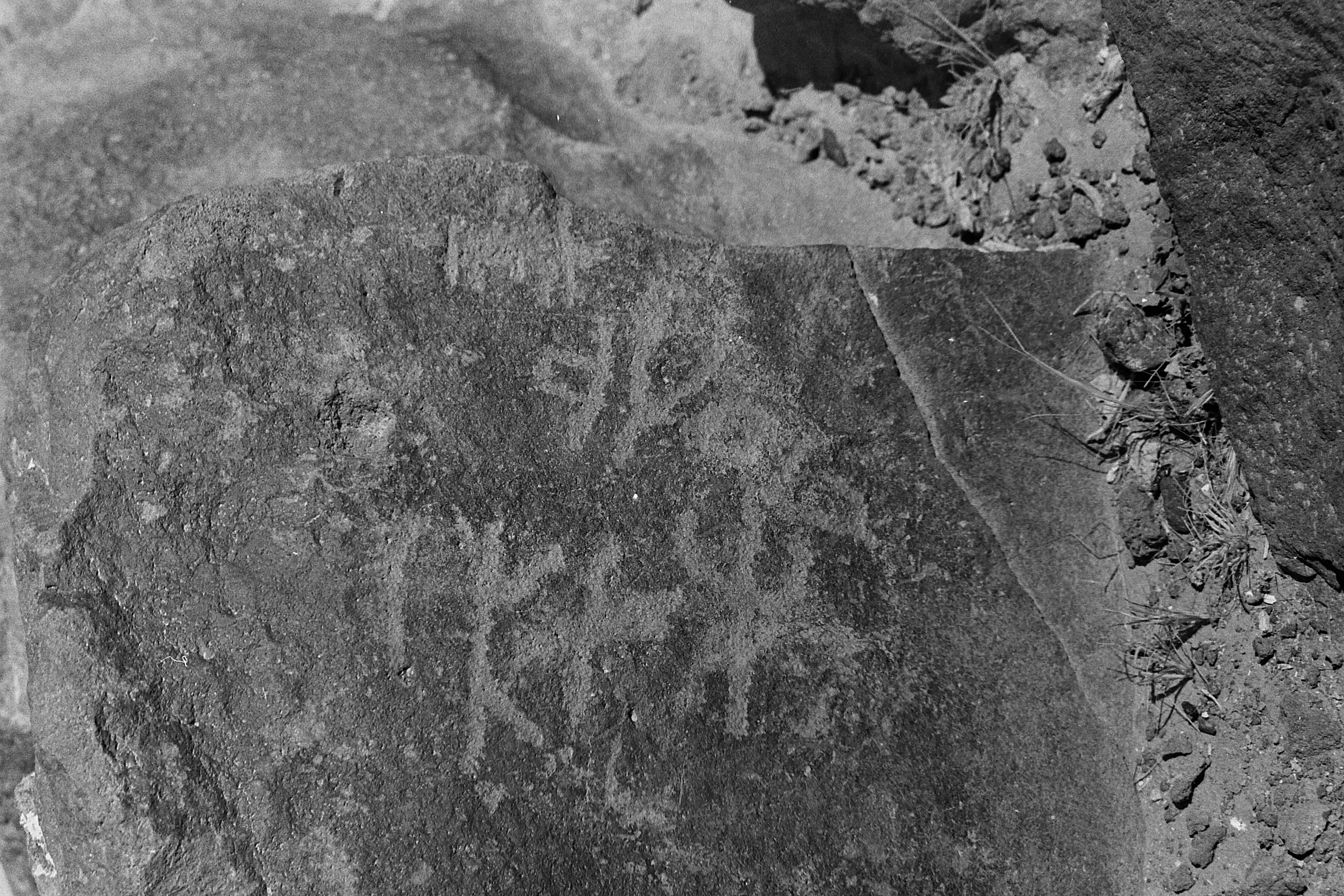 inscription of siglum CSNS 12