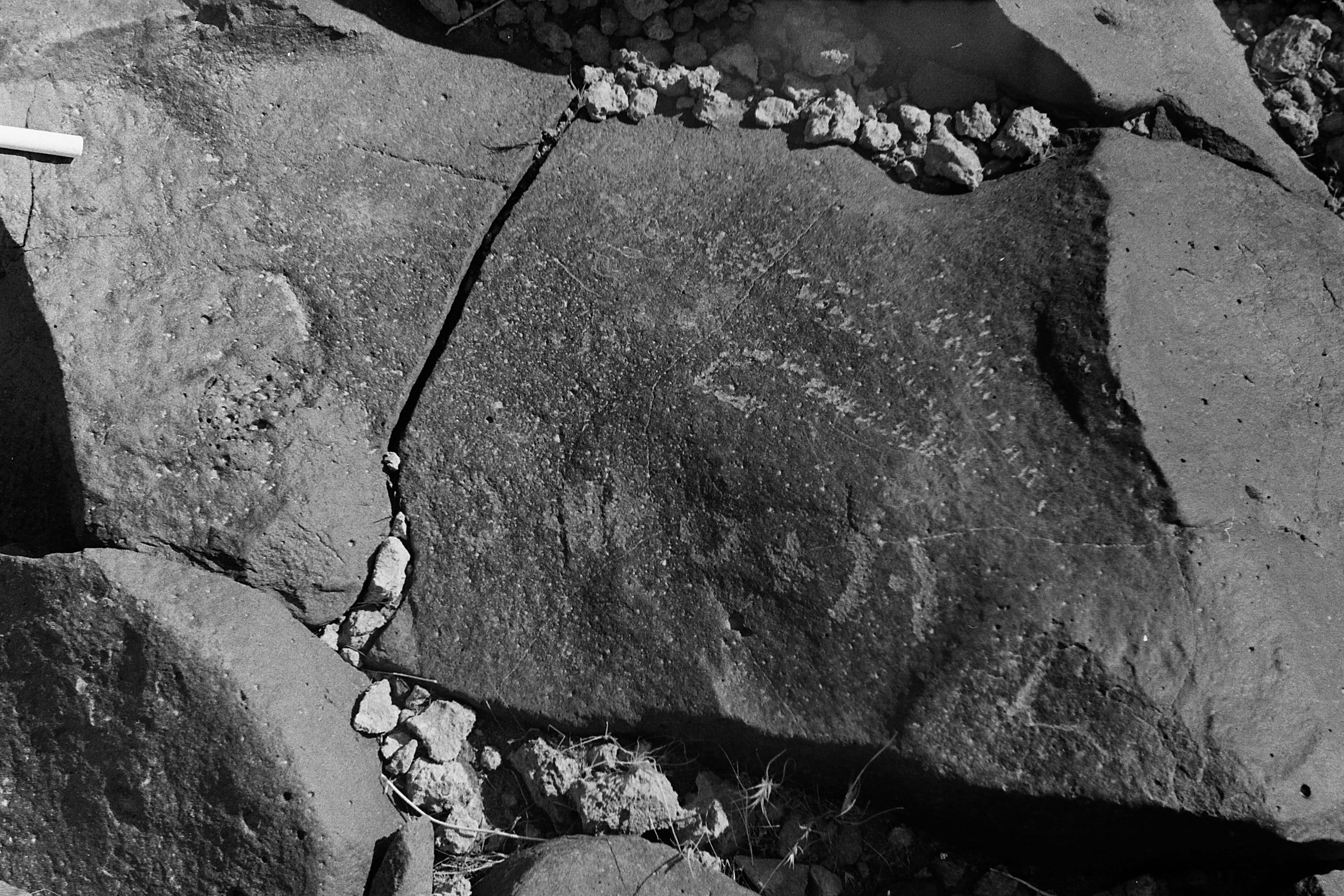 inscription of siglum CSNS 121