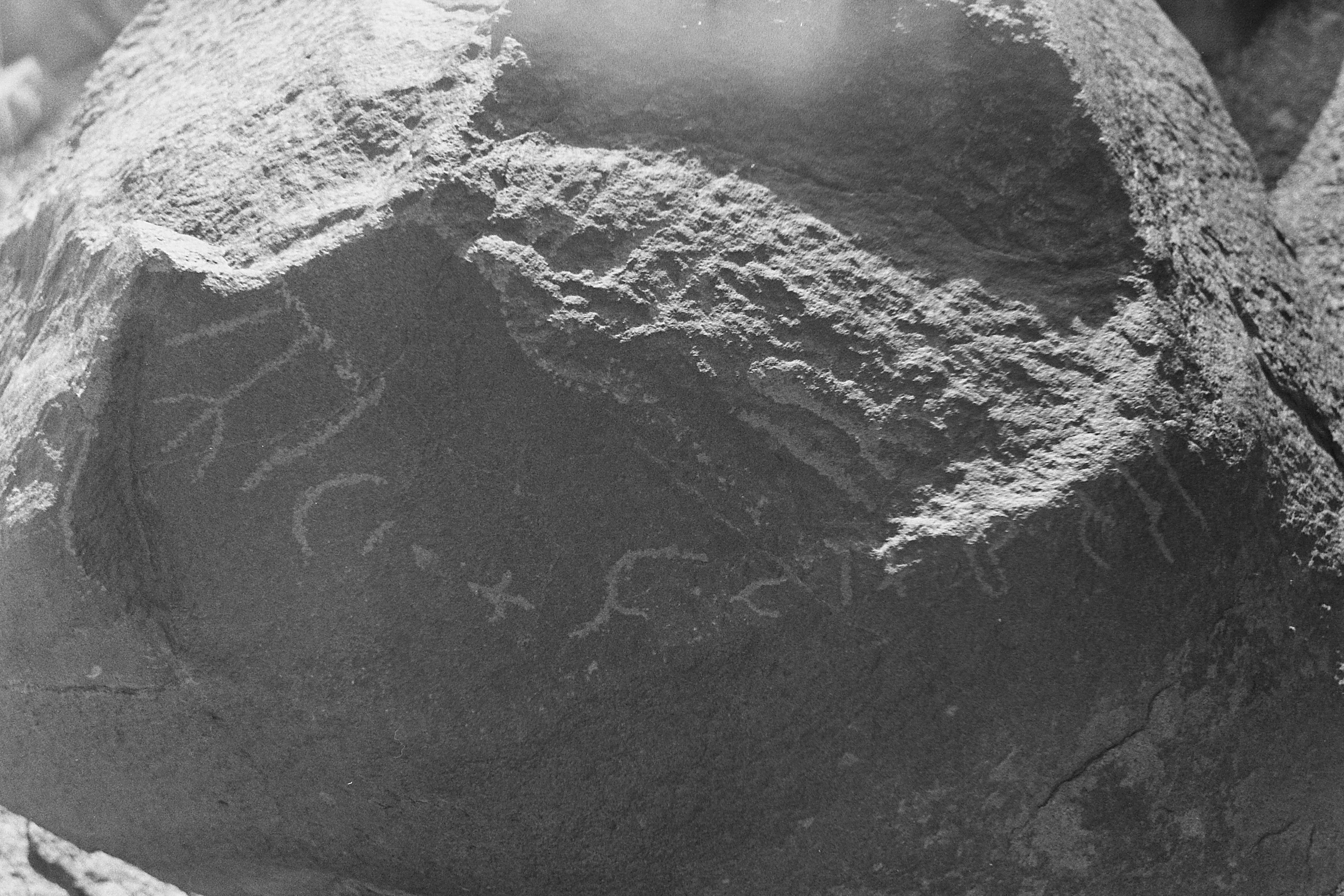 inscription of siglum CSNS 142