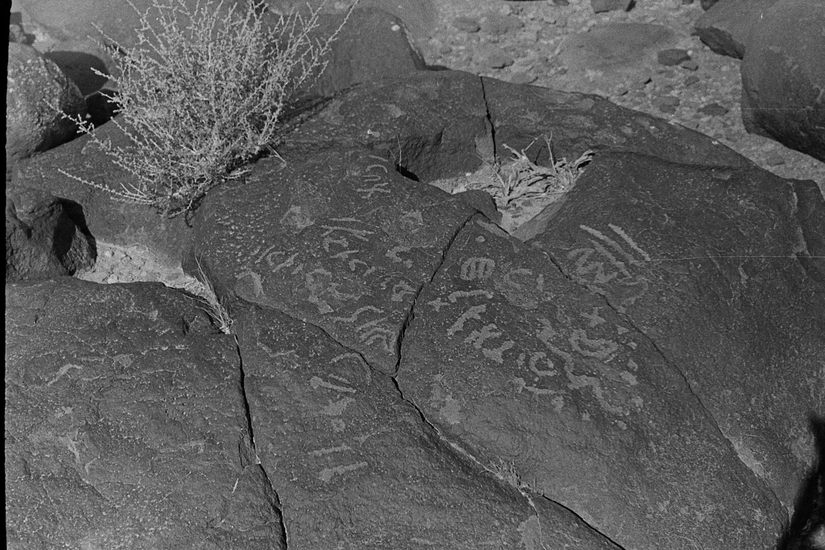inscription of siglum CSNS 156