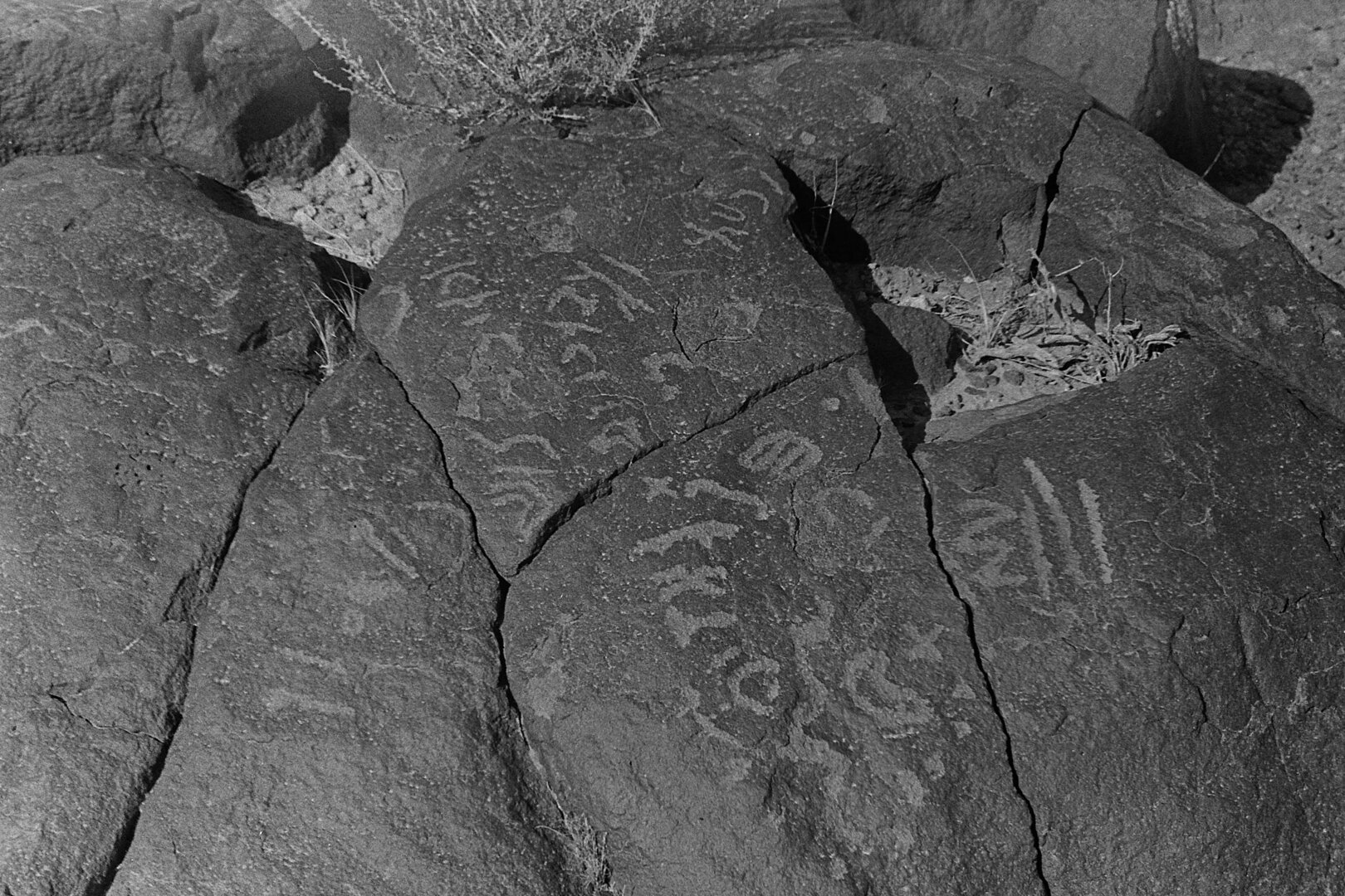 inscription of siglum CSNS 156