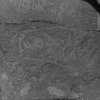 inscription of siglum CSNS 188