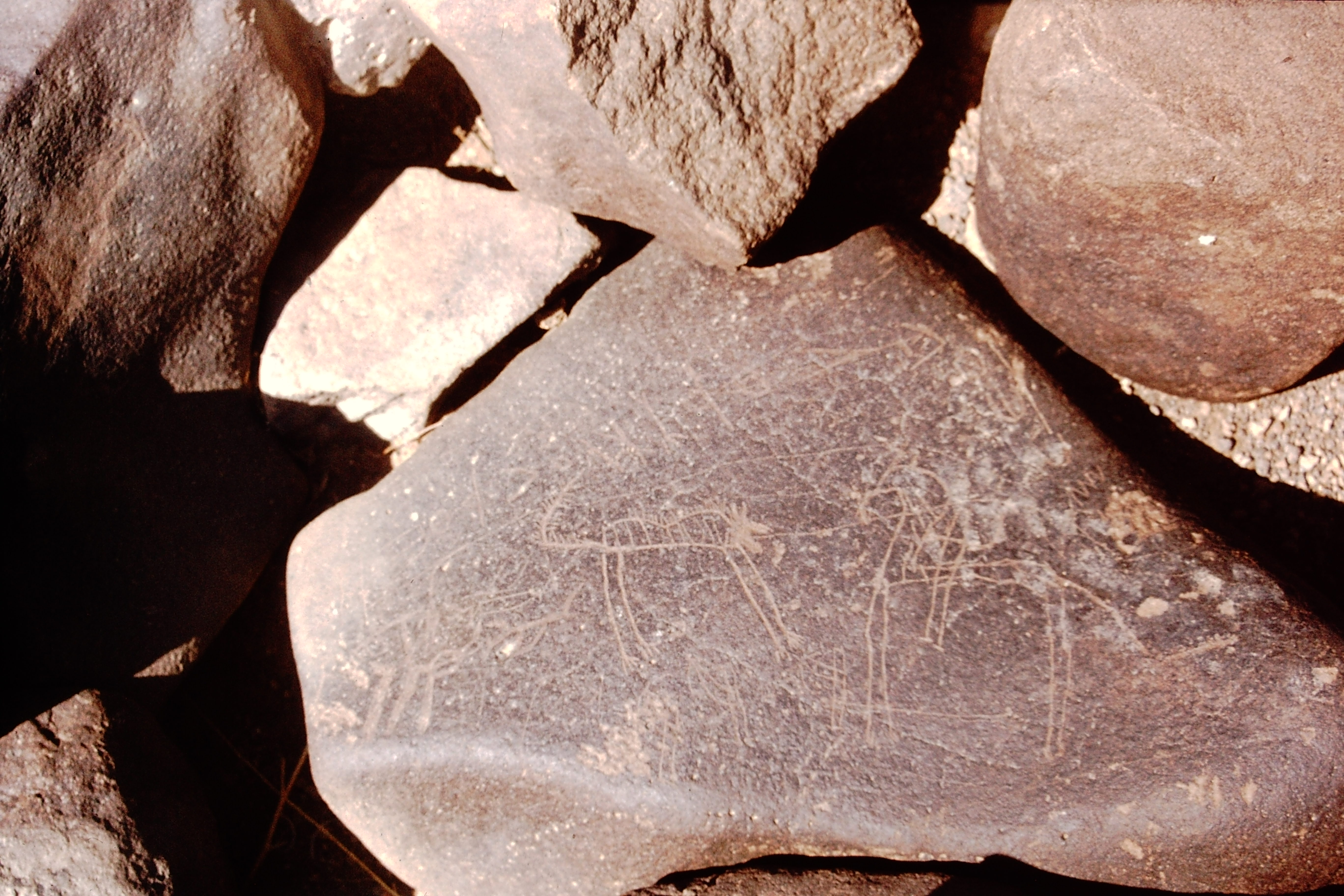 inscription of siglum CSNS 192