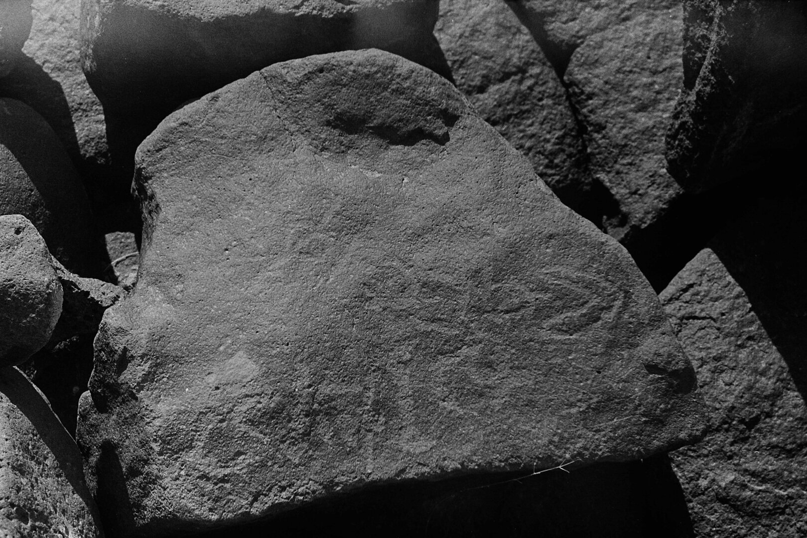 inscription of siglum CSNS 203