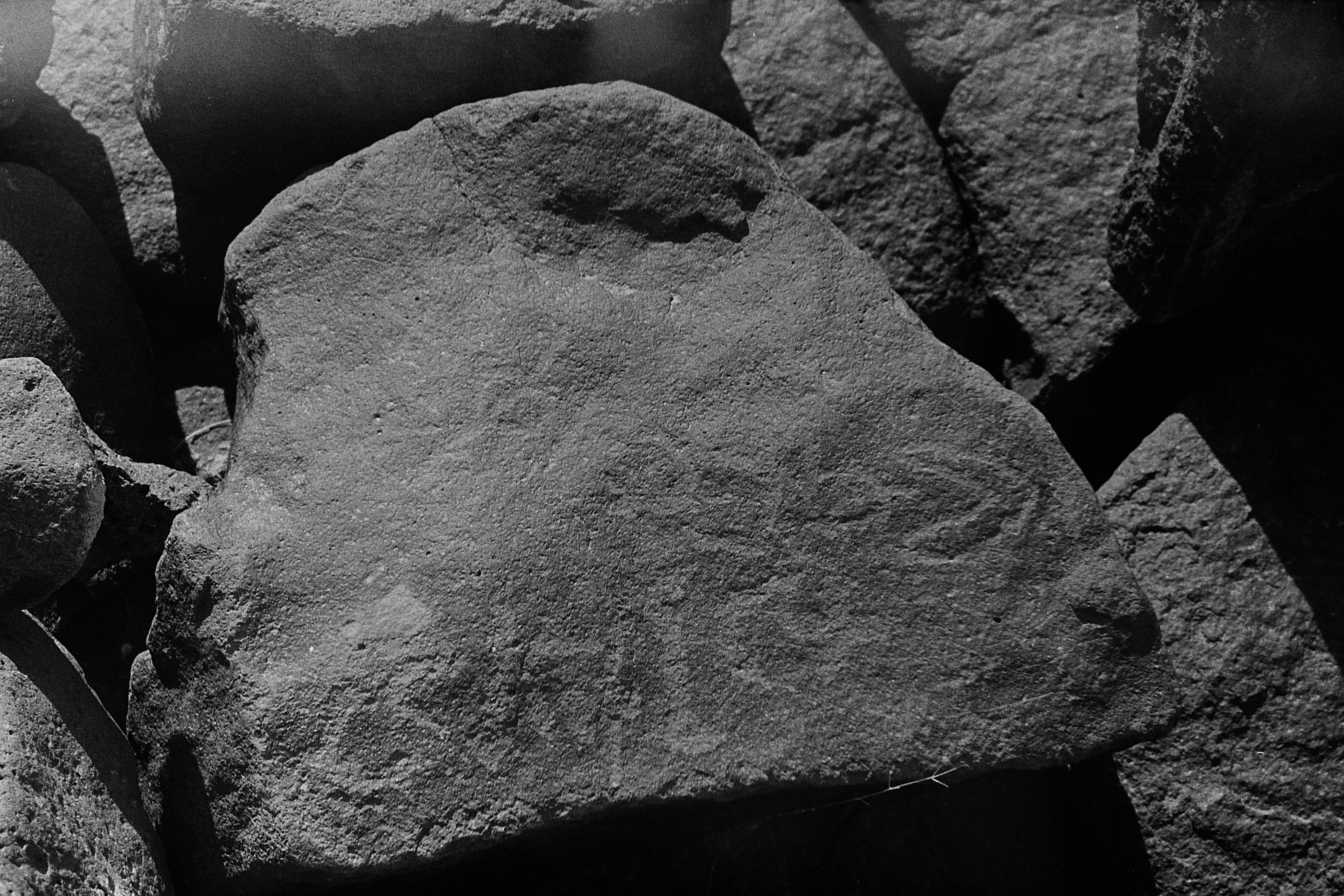 inscription of siglum CSNS 204