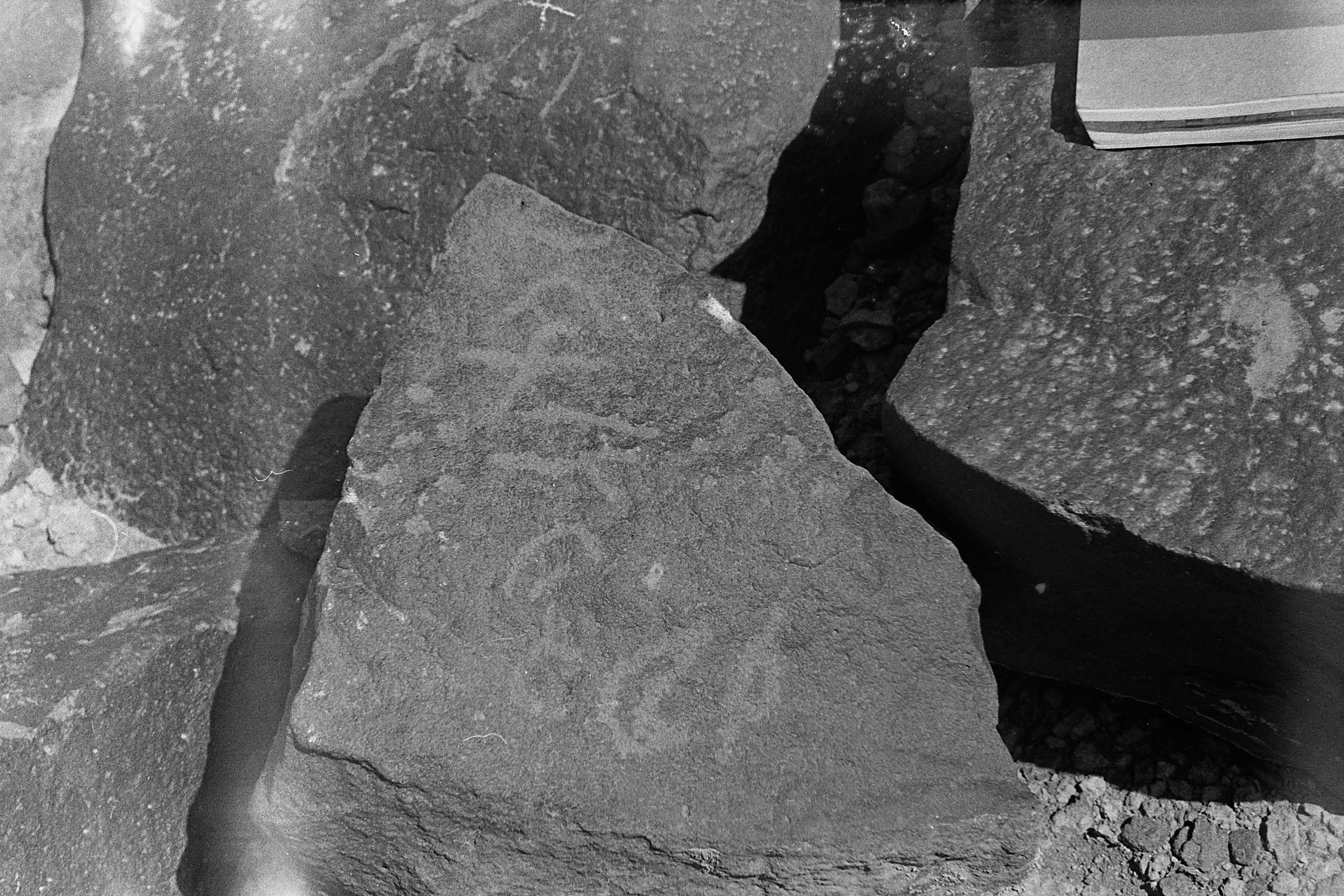 inscription of siglum CSNS 205