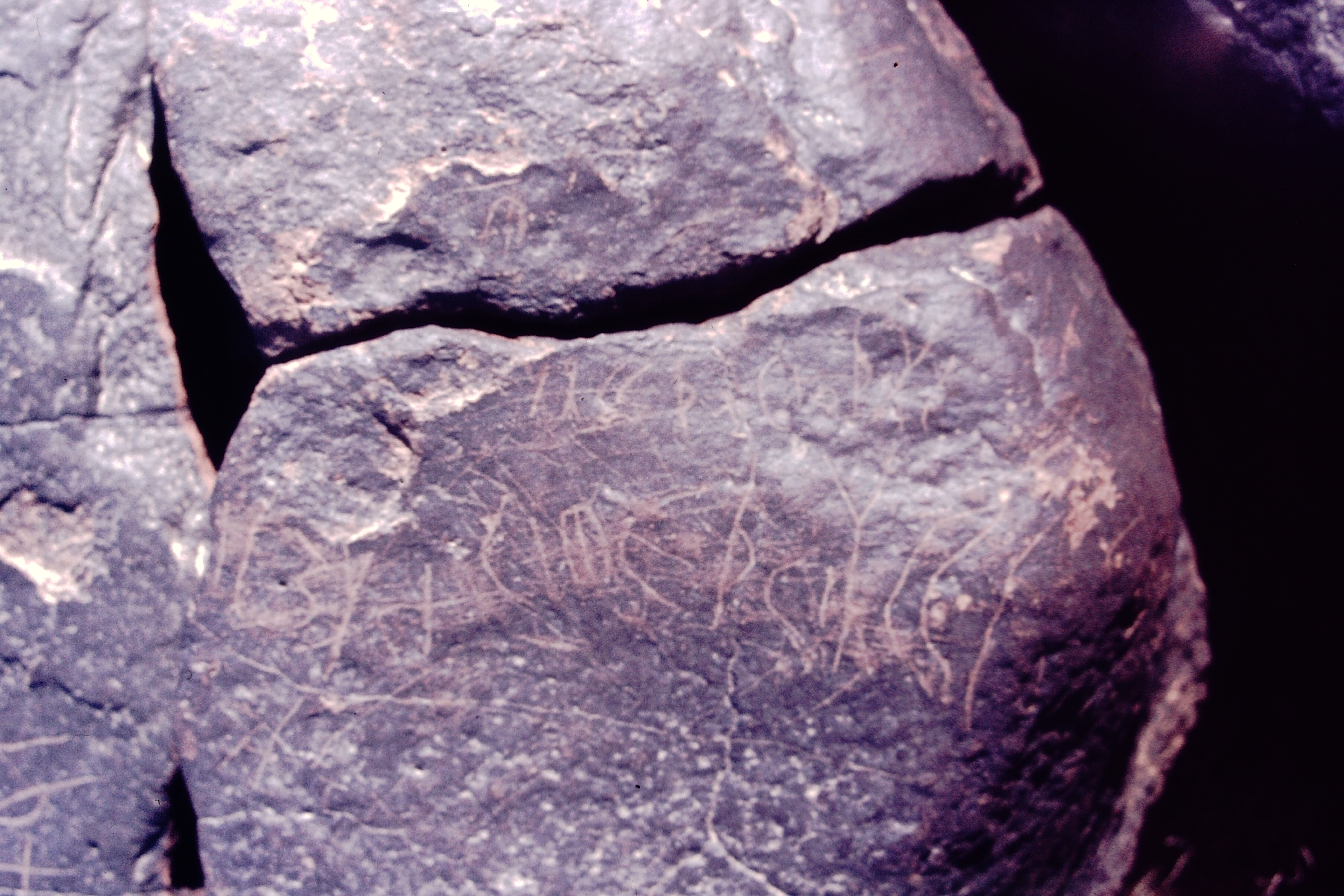 inscription of siglum CSNS 228