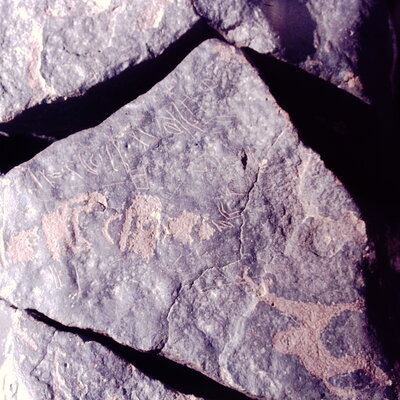 inscription of siglum CSNS 231