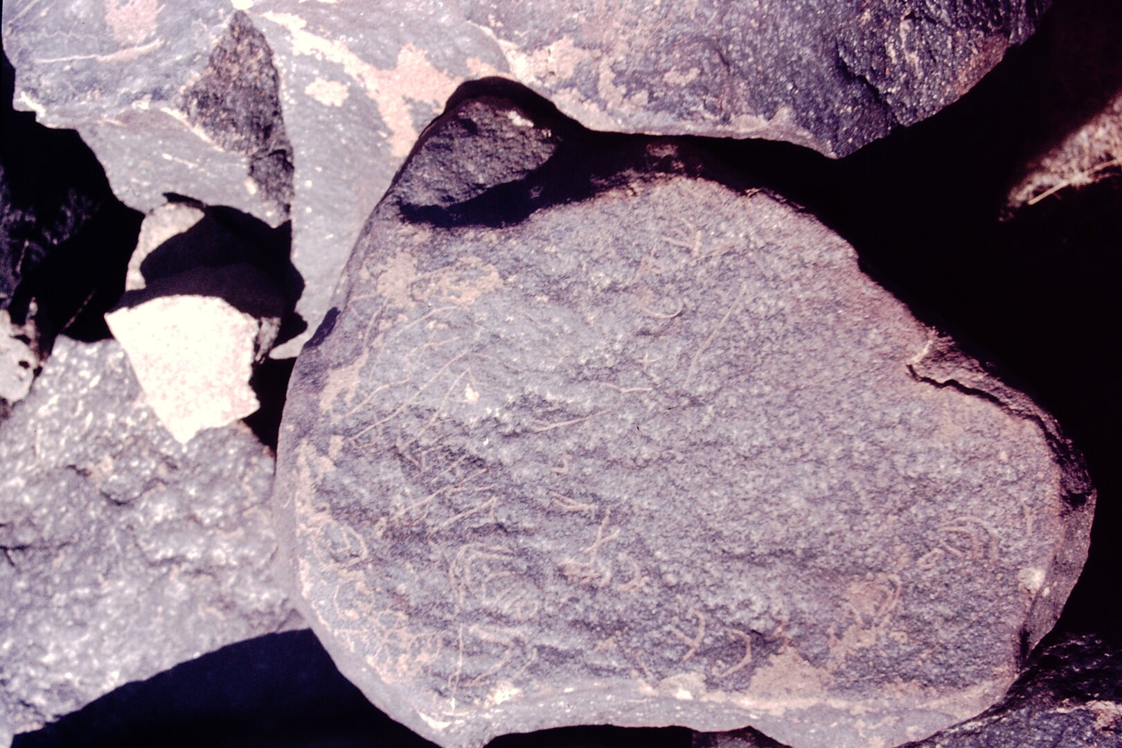 inscription of siglum CSNS 233