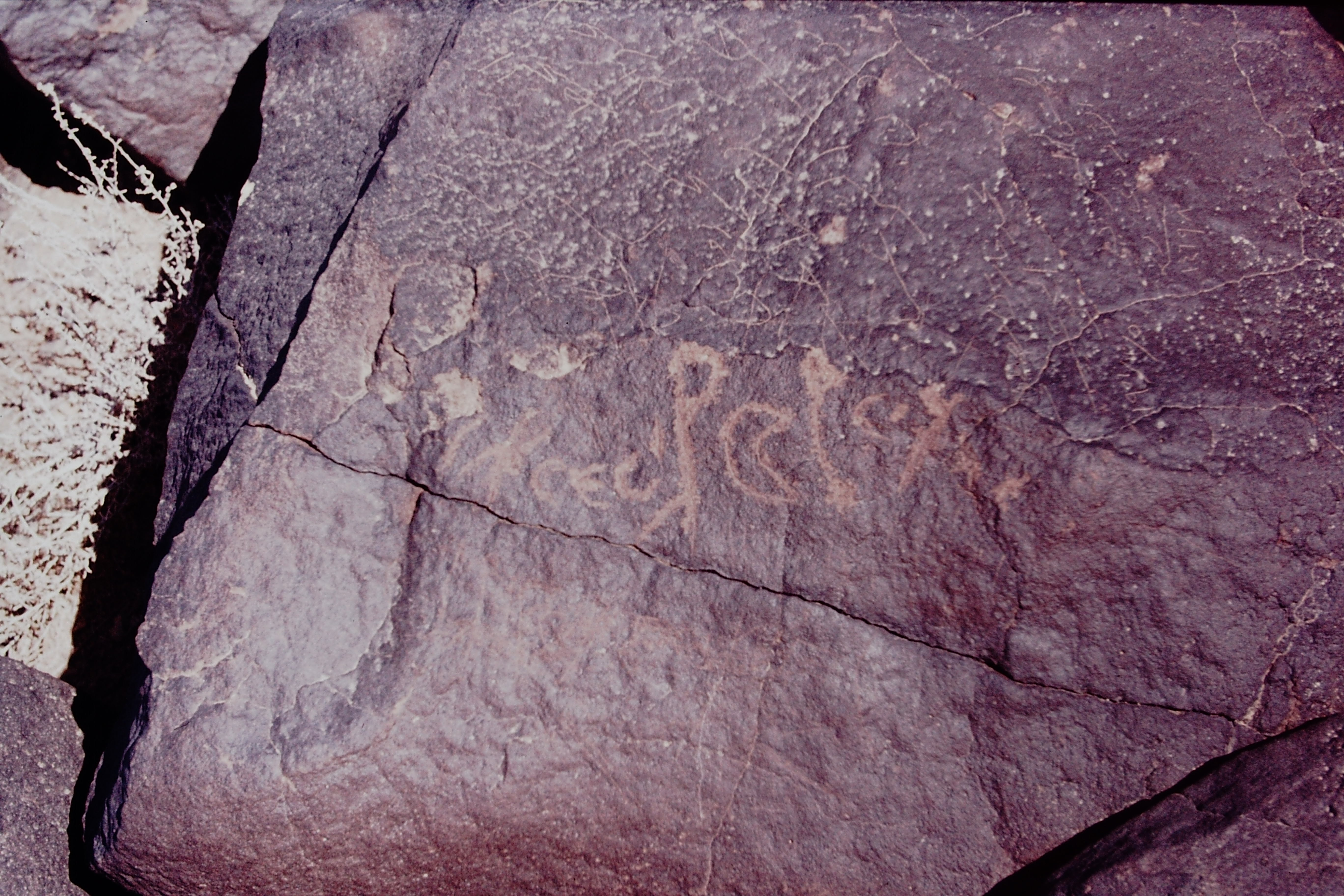inscription of siglum CSNS 235