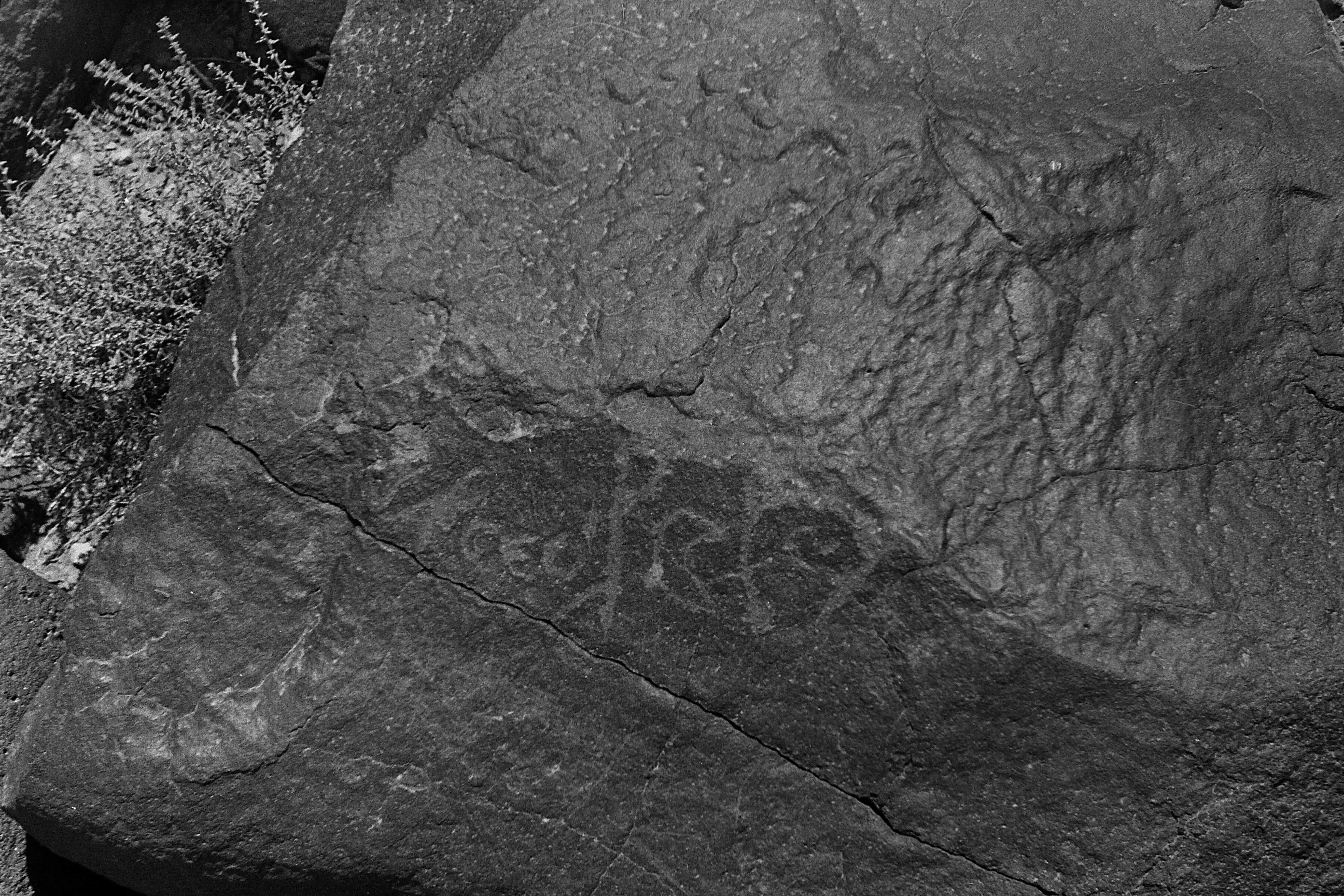 inscription of siglum CSNS 235