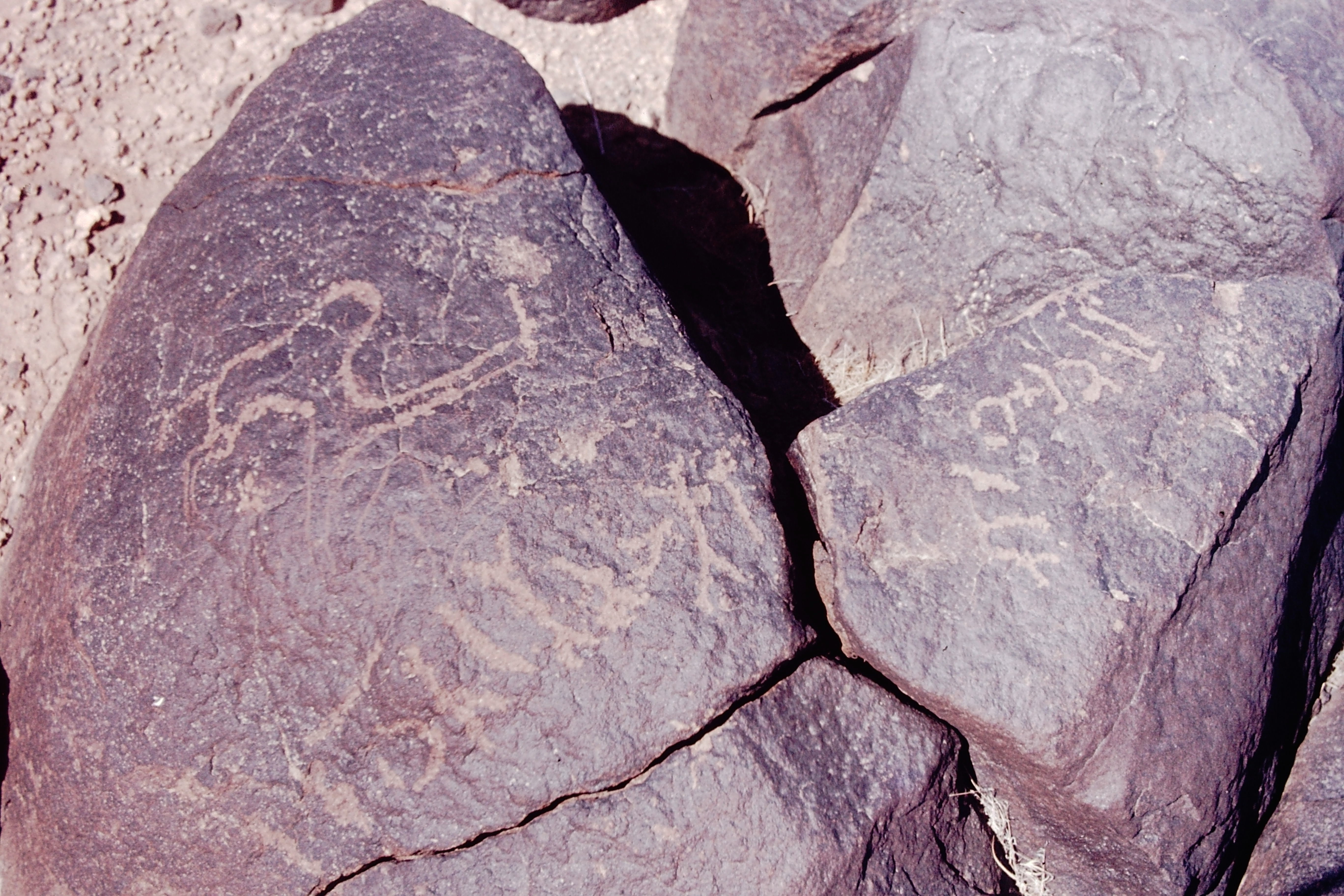 inscription of siglum CSNS 237