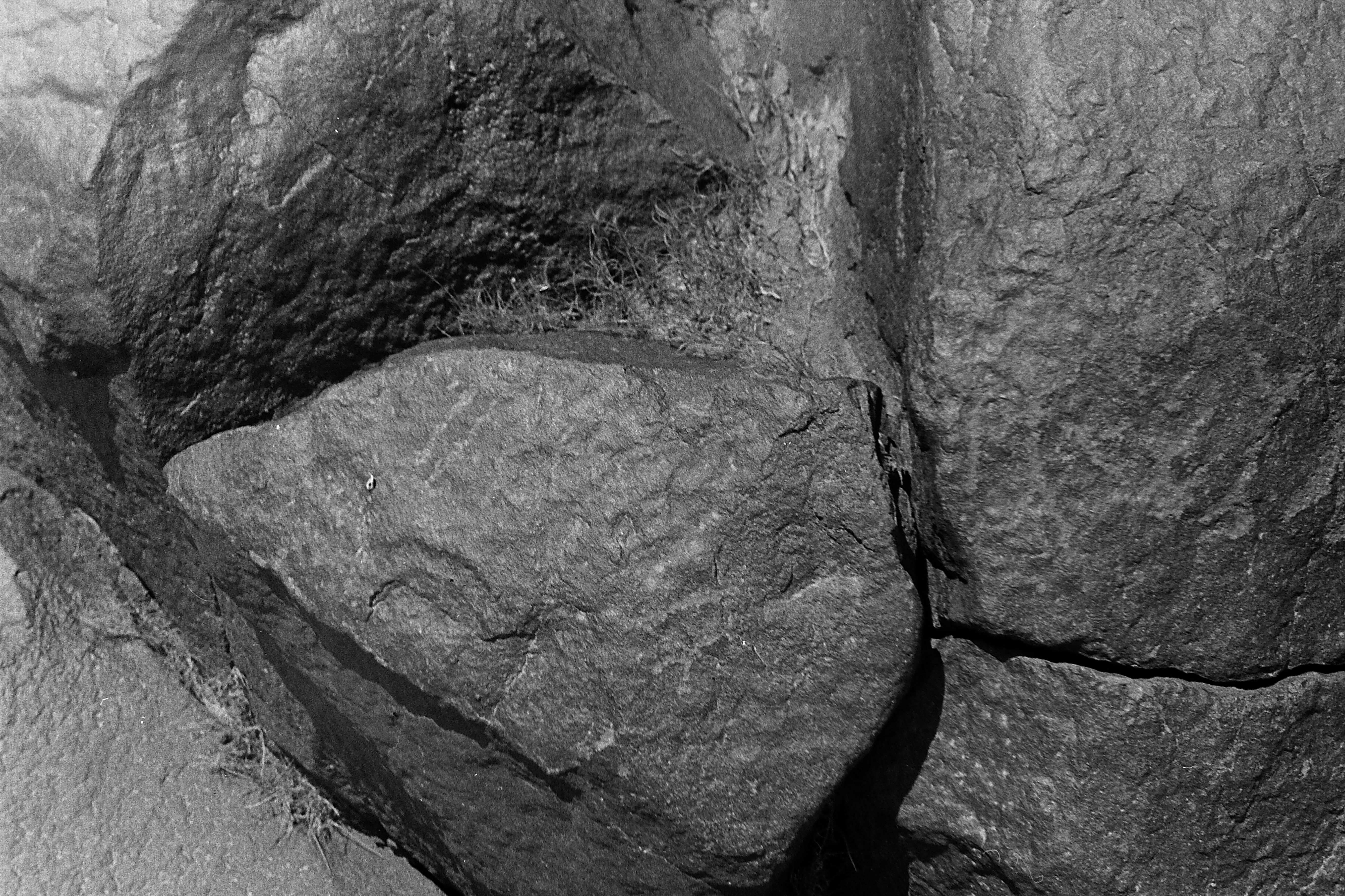 inscription of siglum CSNS 237