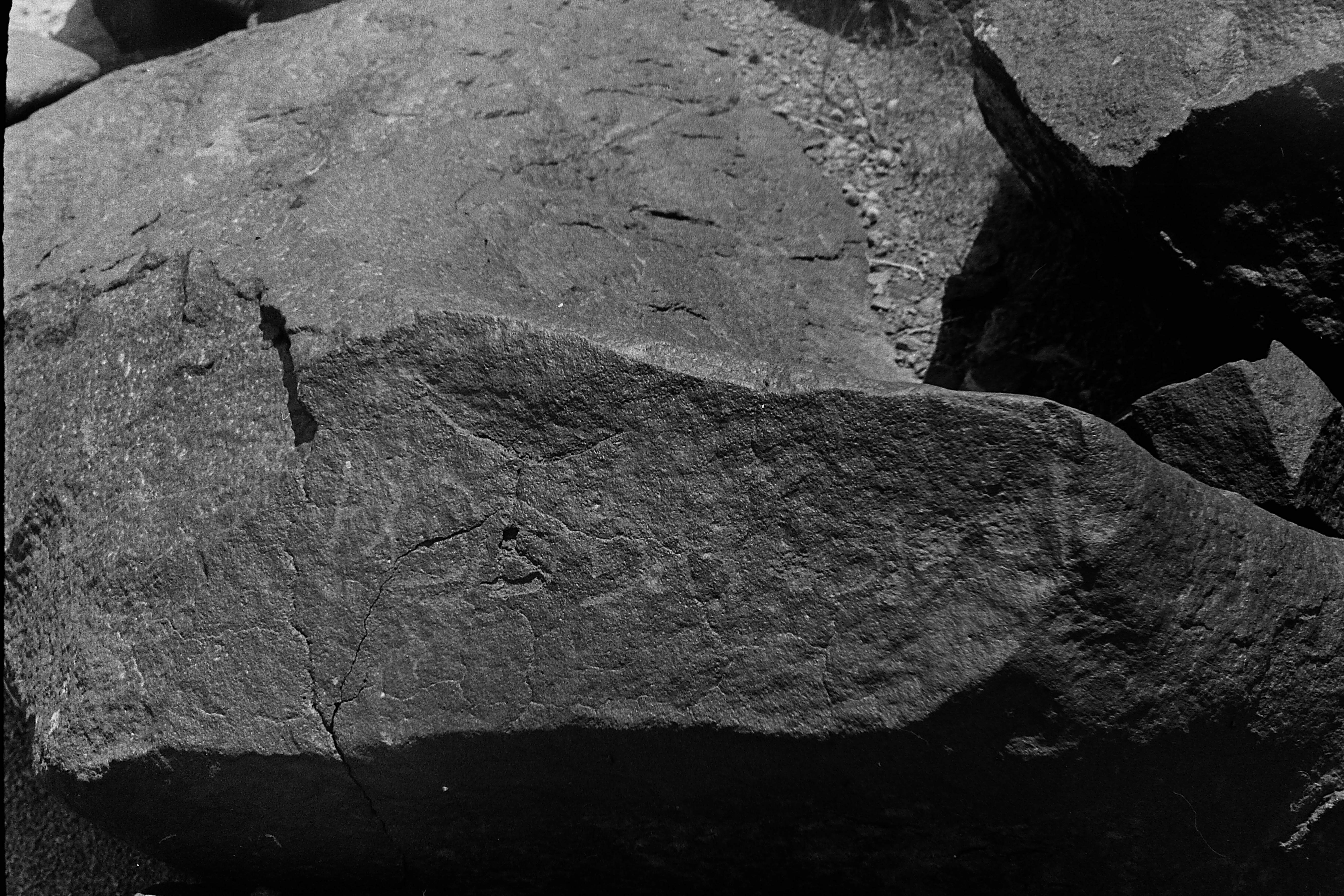 inscription of siglum CSNS 238