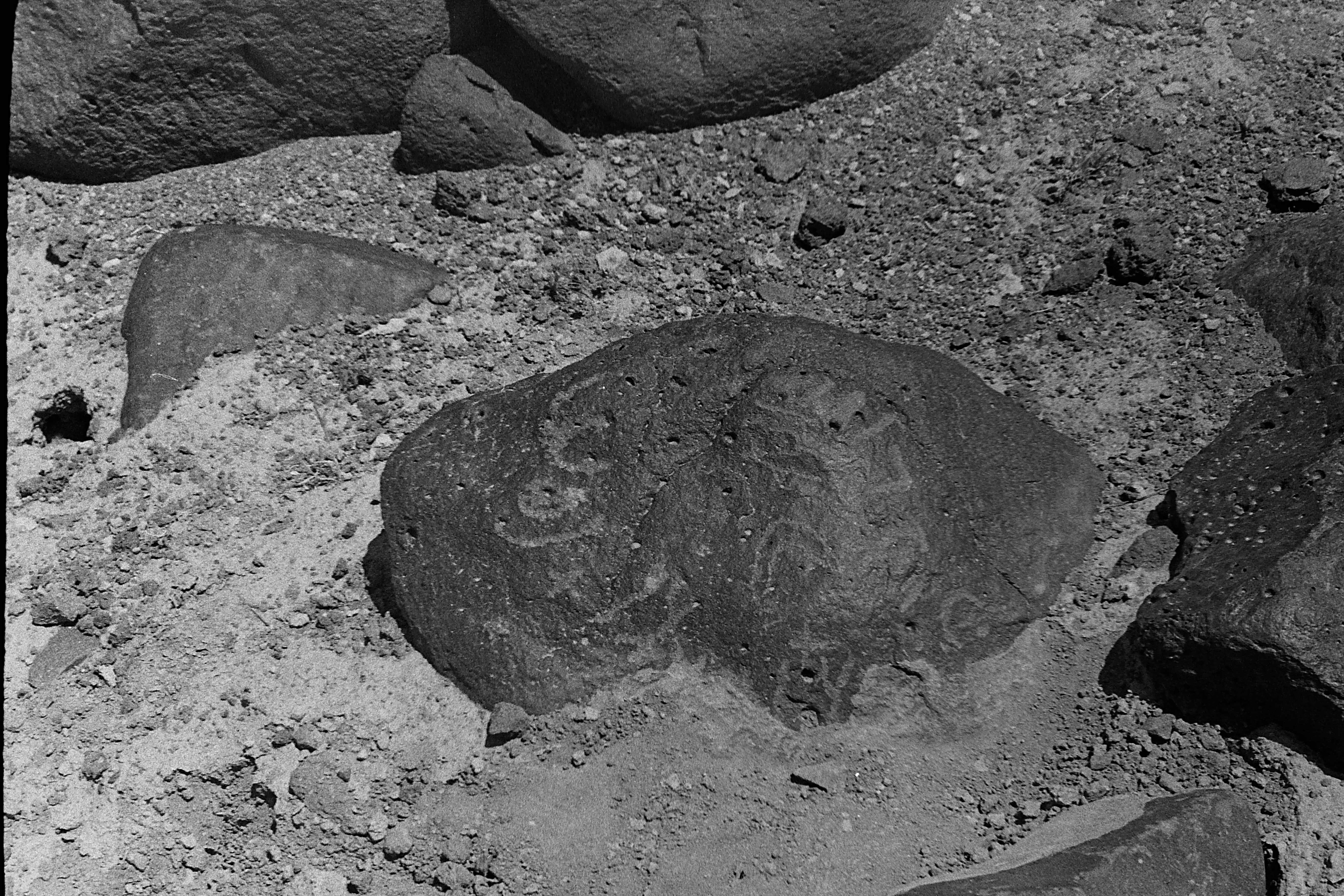 inscription of siglum CSNS 245