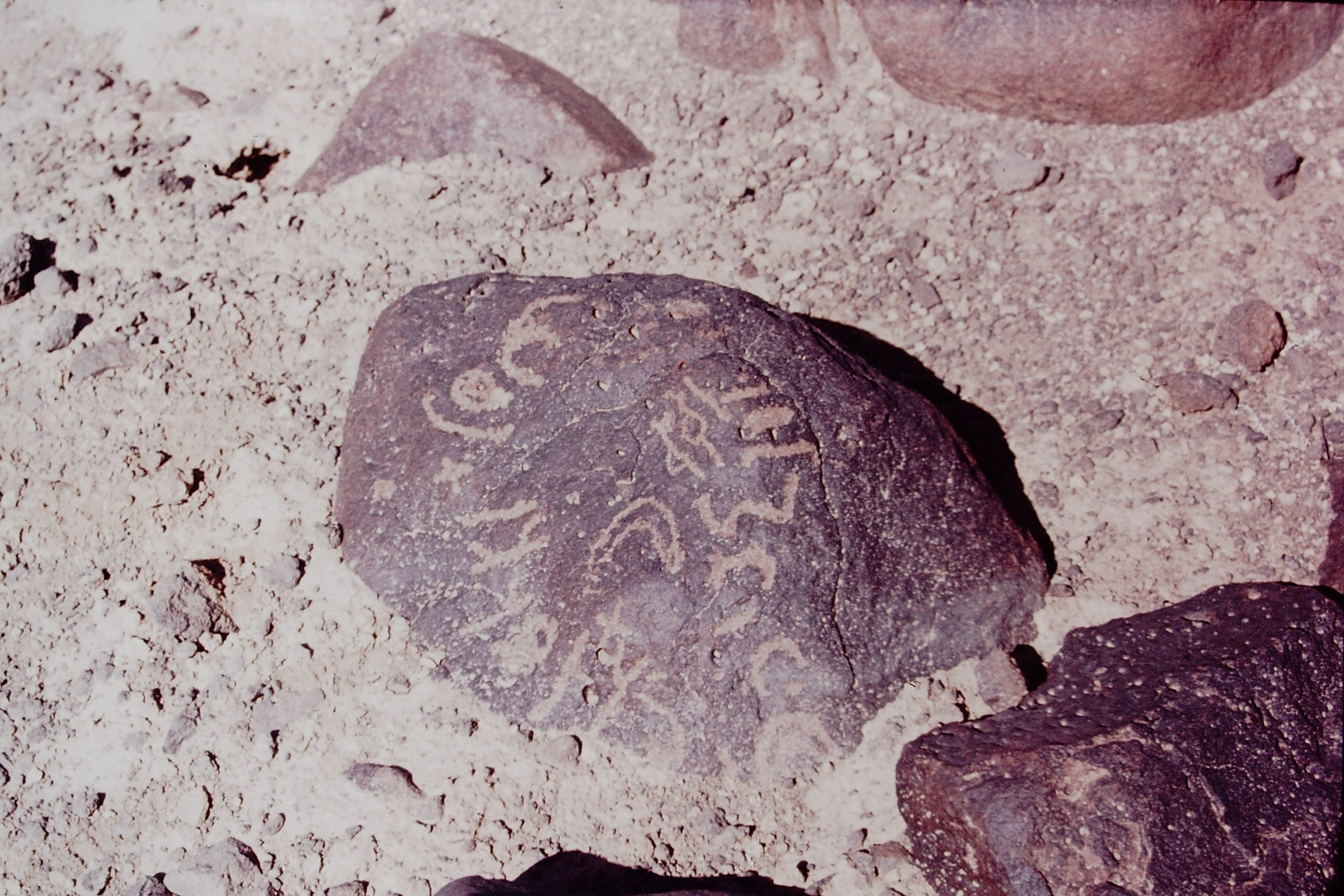 inscription of siglum CSNS 245