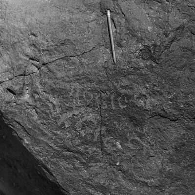 inscription of siglum CSNS 25