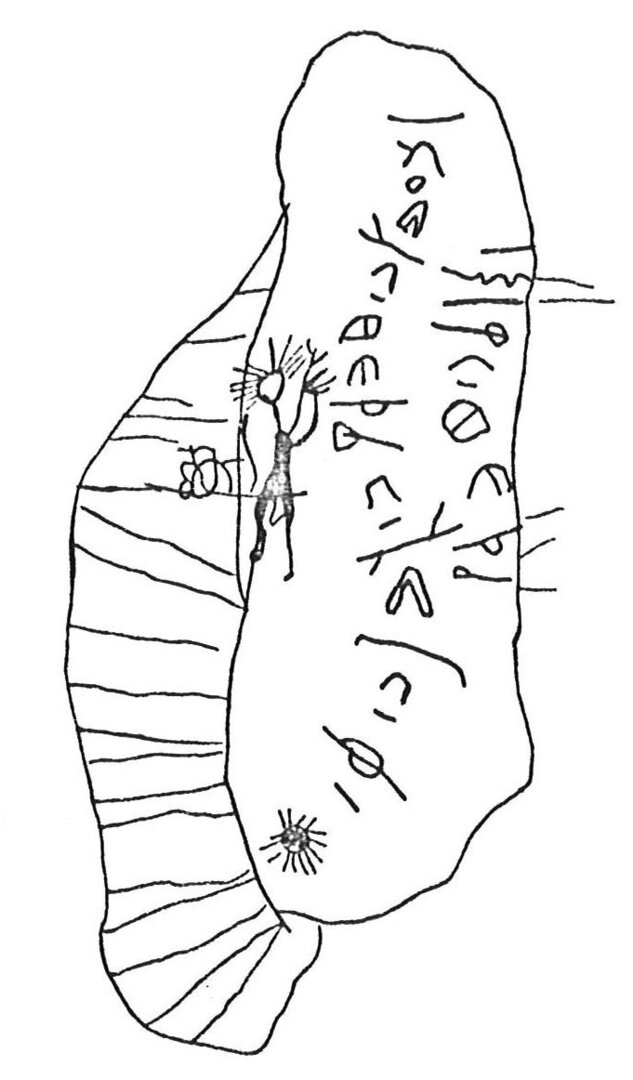 inscription of siglum CSNS 255