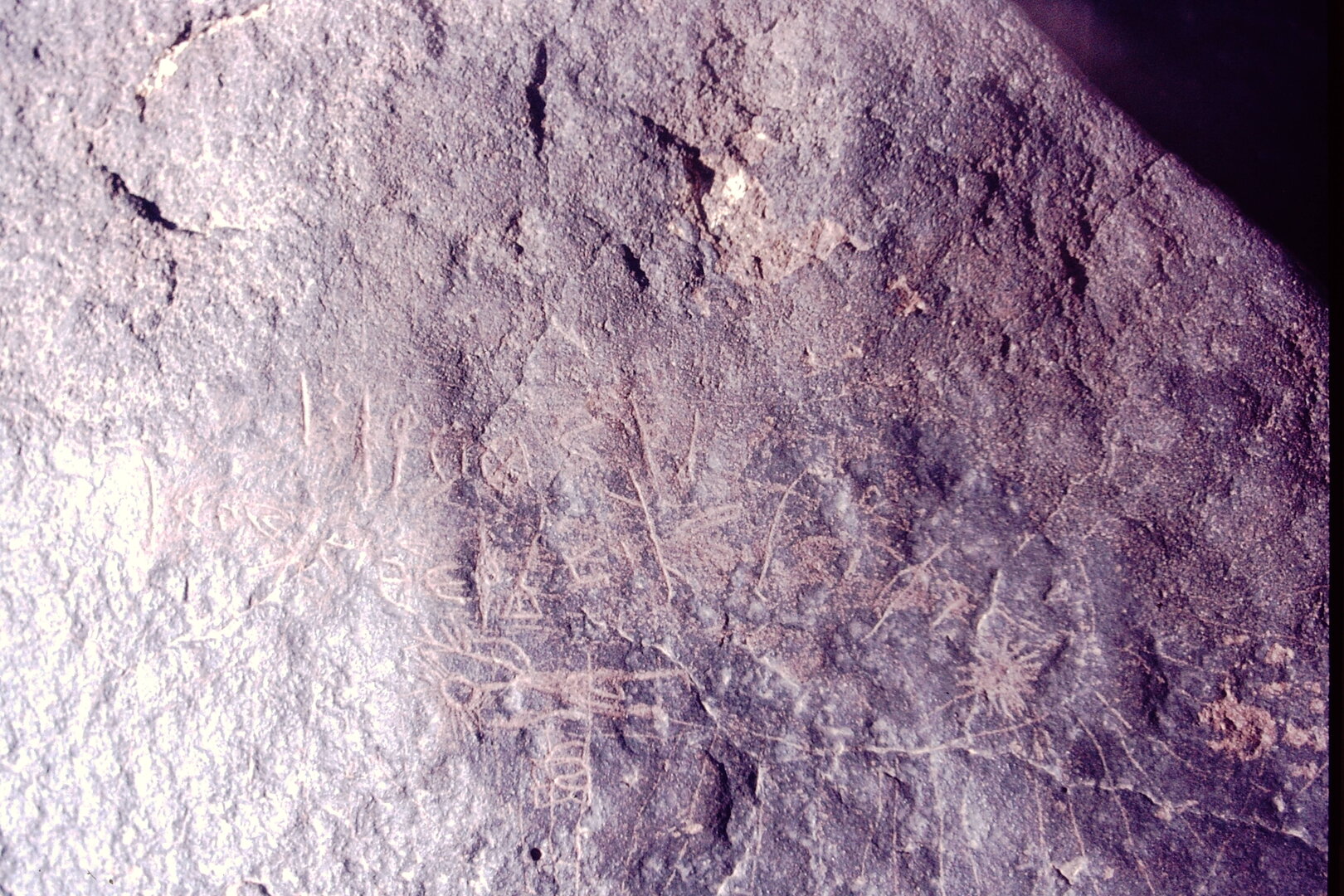 inscription of siglum CSNS 256