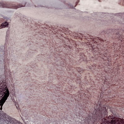 inscription of siglum CSNS 264