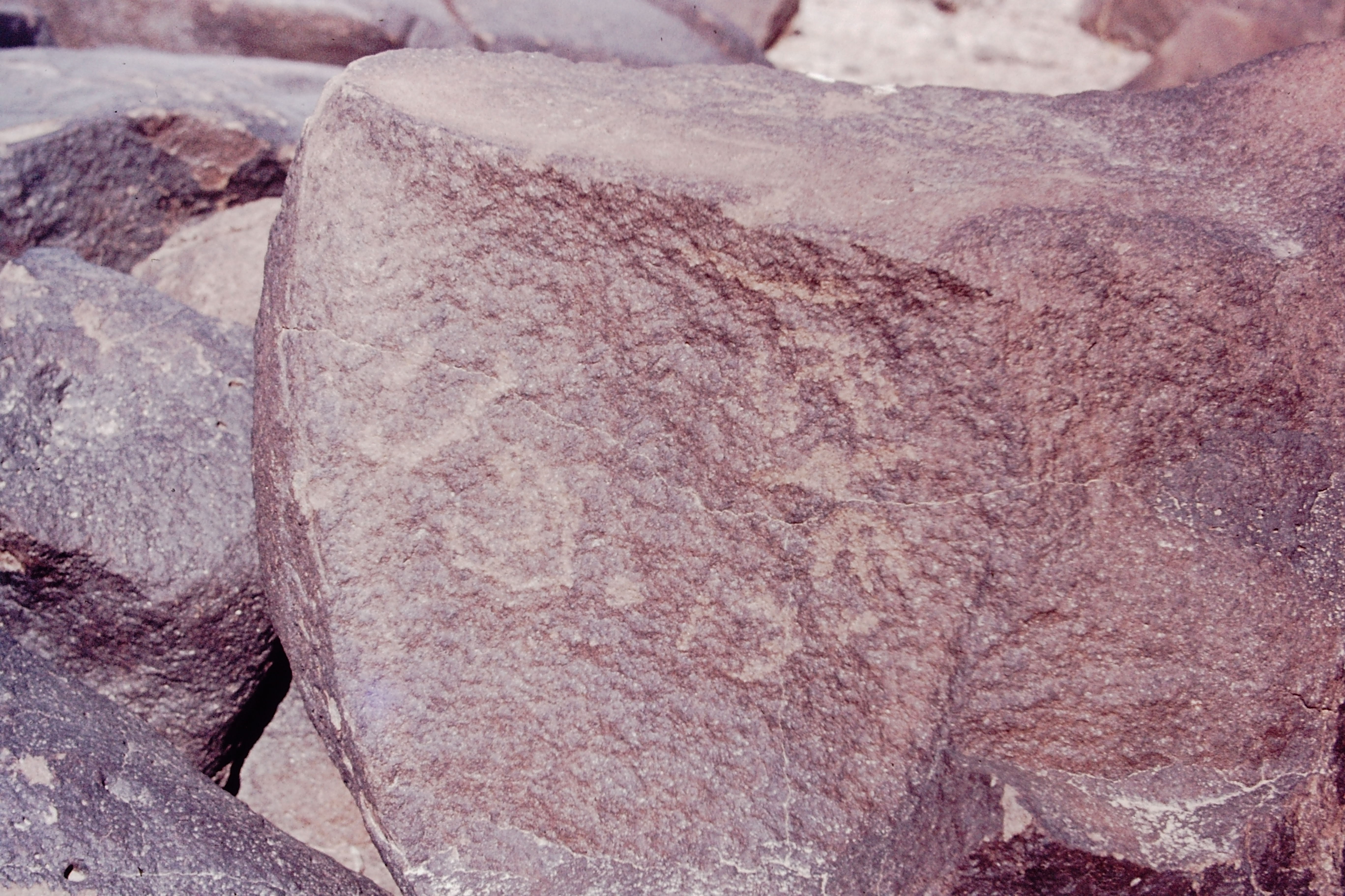 inscription of siglum CSNS 264