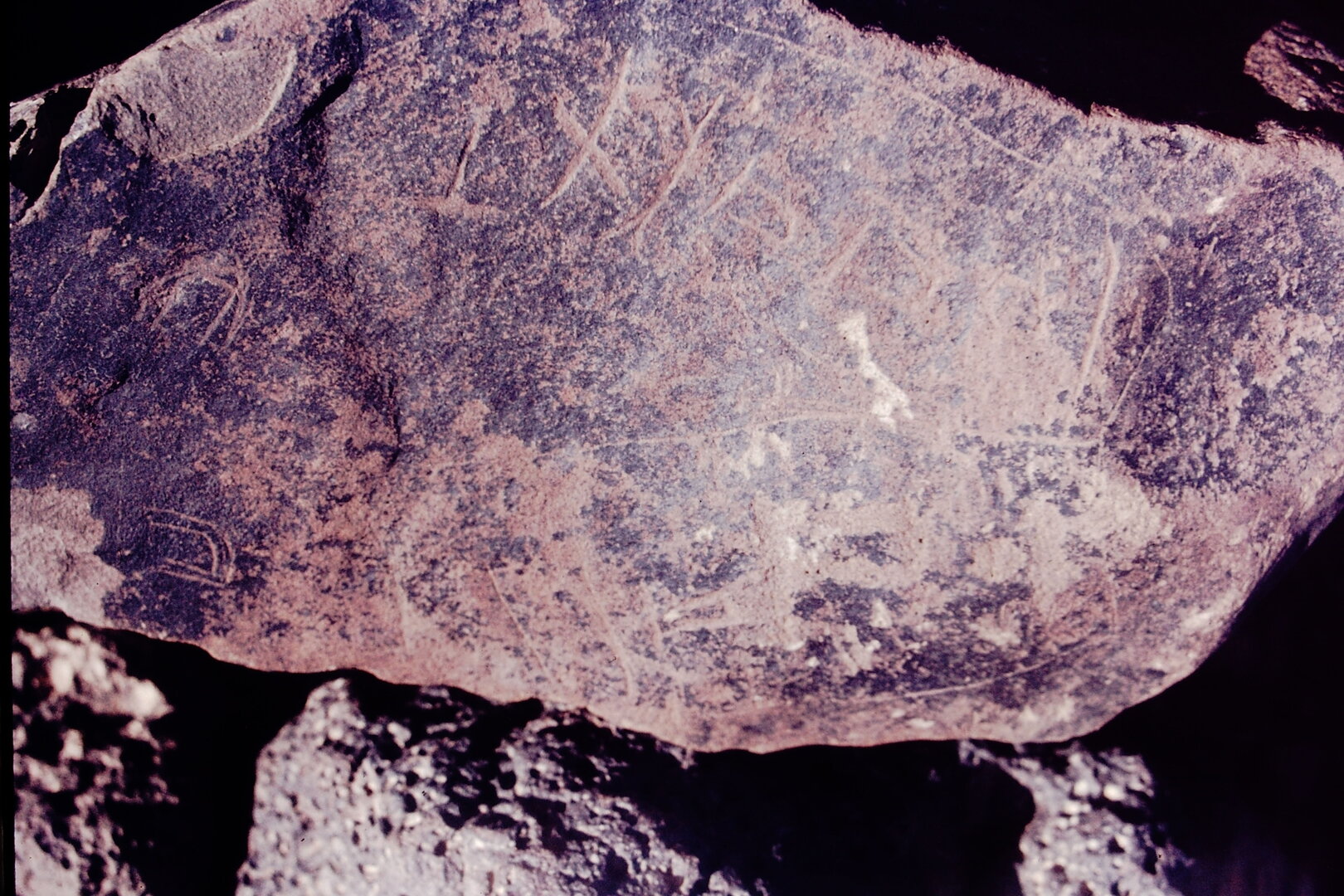 inscription of siglum CSNS 299