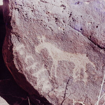 inscription of siglum CSNS 303
