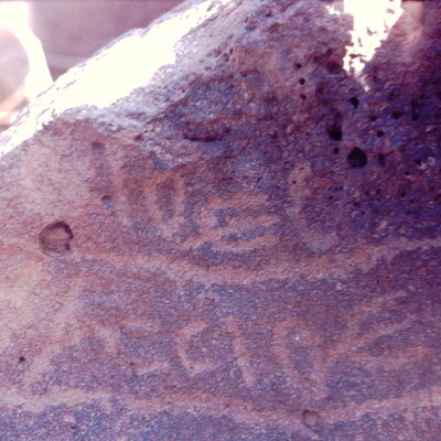 inscription of siglum CSNS 305